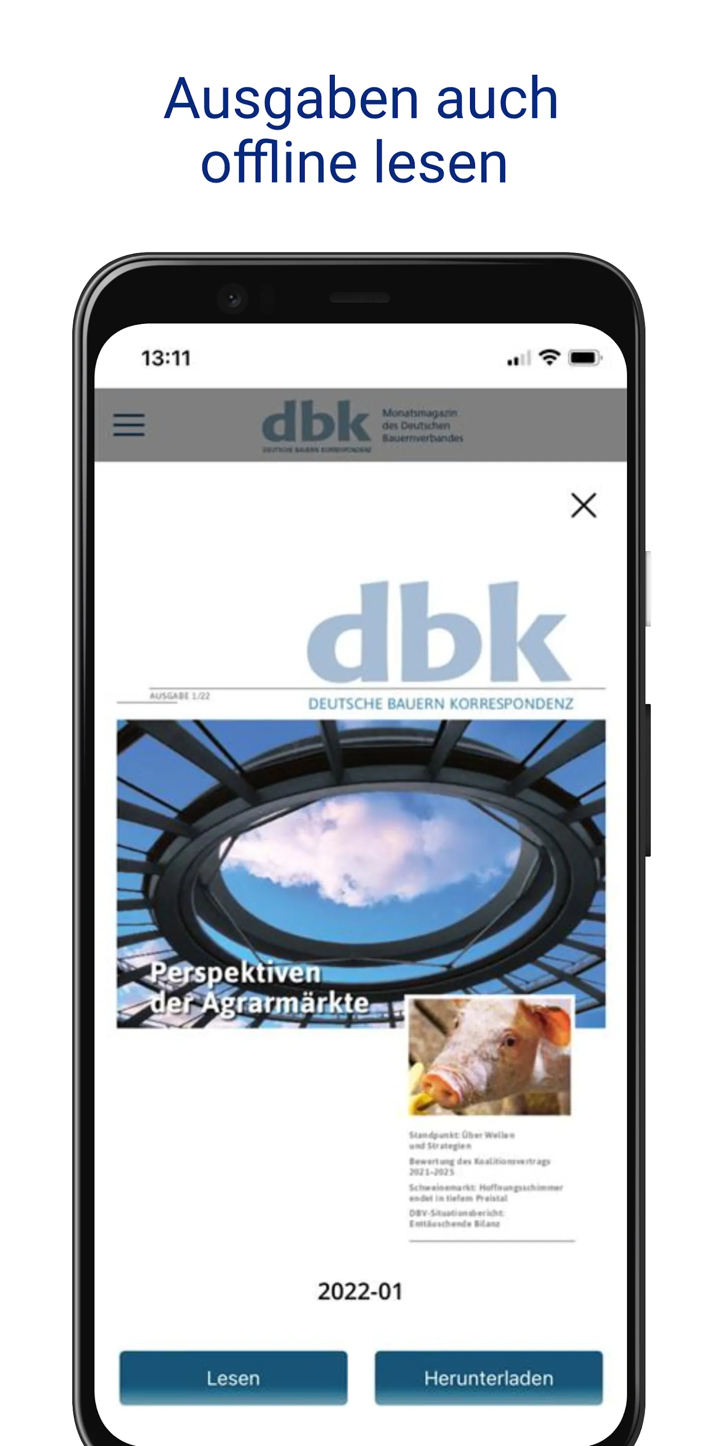 dbk online | Indus Appstore | Screenshot