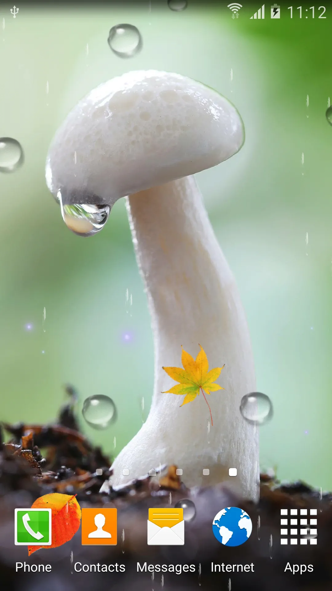 Mushrooms Live Wallpaper | Indus Appstore | Screenshot