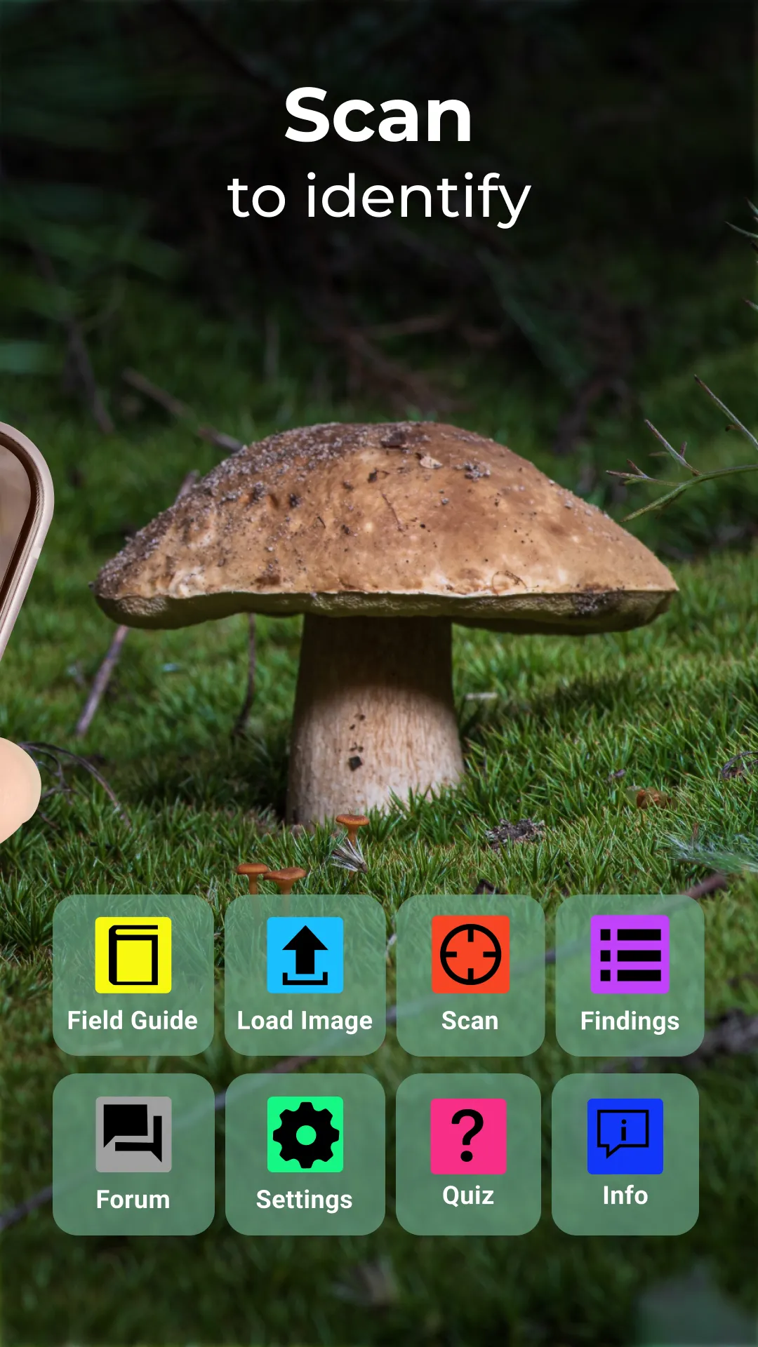 Mushroom Identification | Indus Appstore | Screenshot