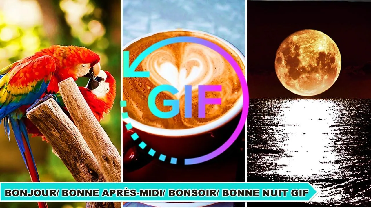 French Good Morning Night Gif | Indus Appstore | Screenshot