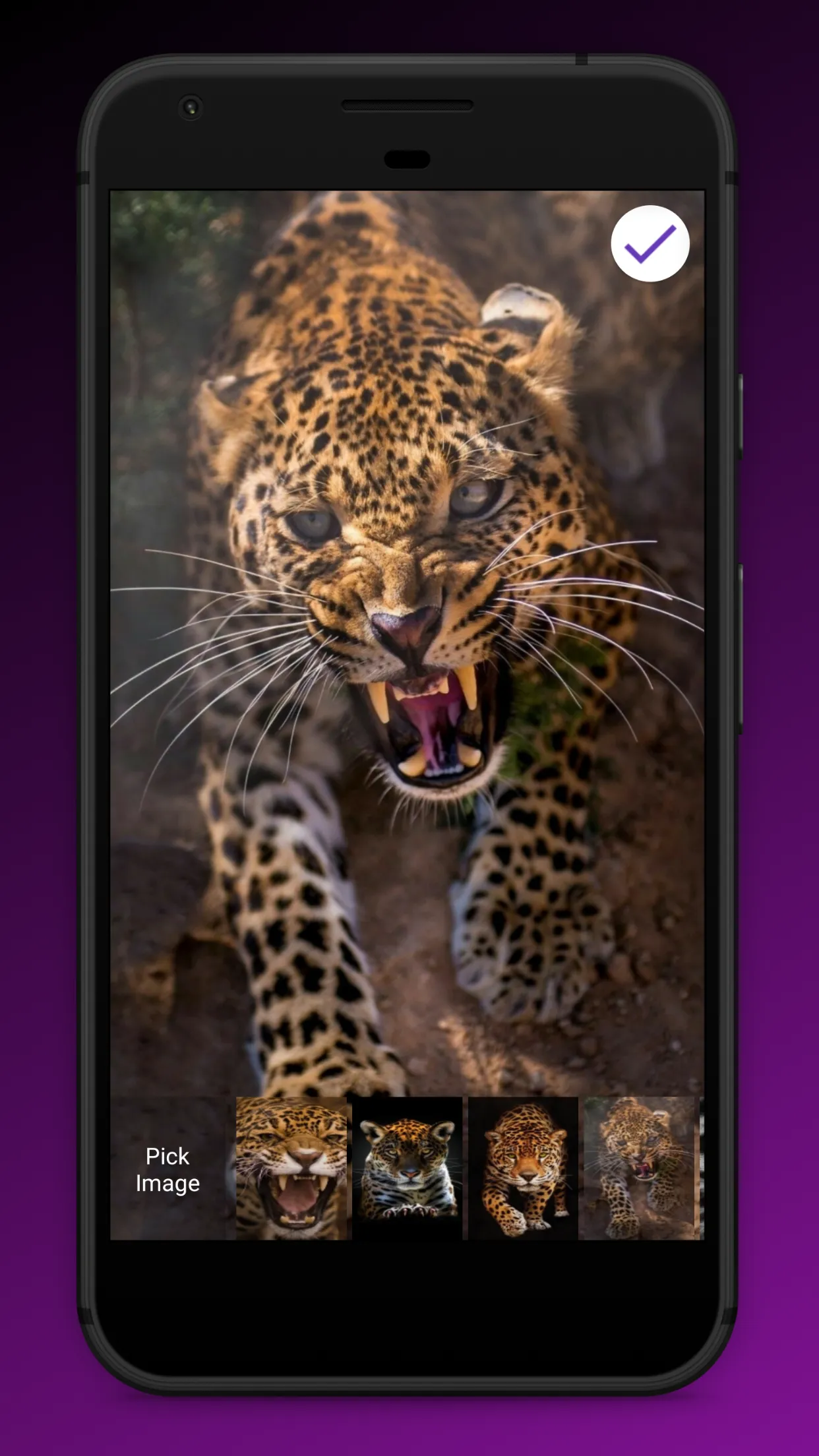 Jaguar Passcode Lock Screen | Indus Appstore | Screenshot