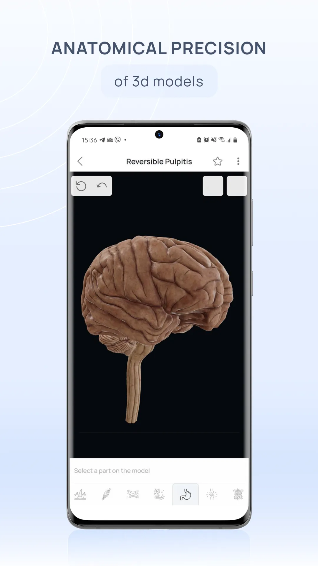 VOKA 3D Anatomy & Pathology | Indus Appstore | Screenshot