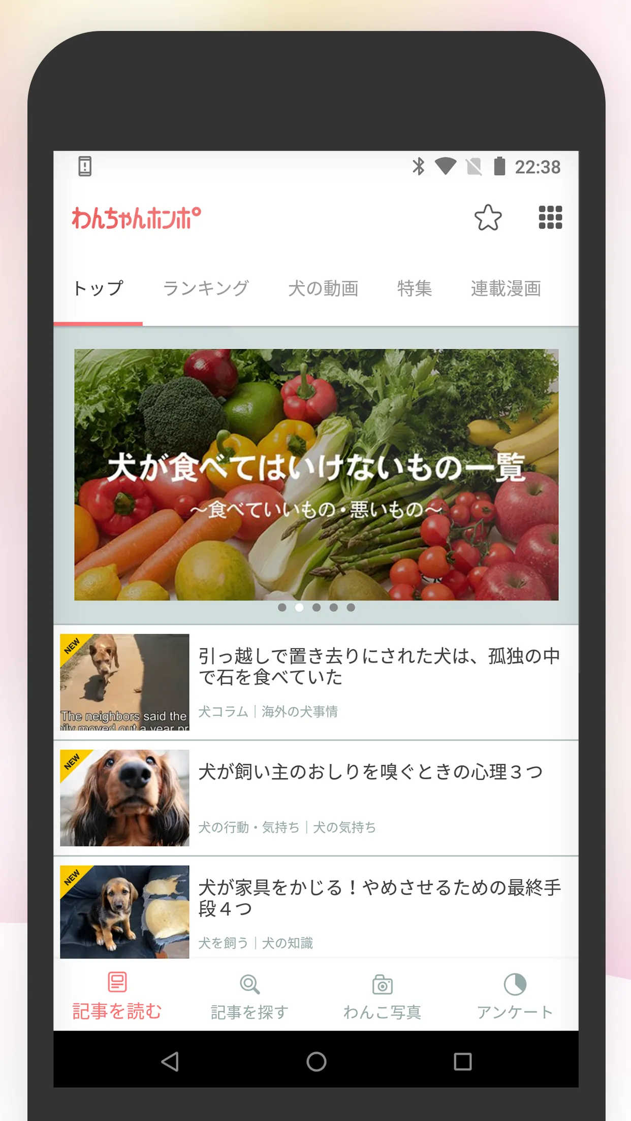 犬のニュースや飼い方の情報をまとめ読み -わんちゃんホンポ- | Indus Appstore | Screenshot