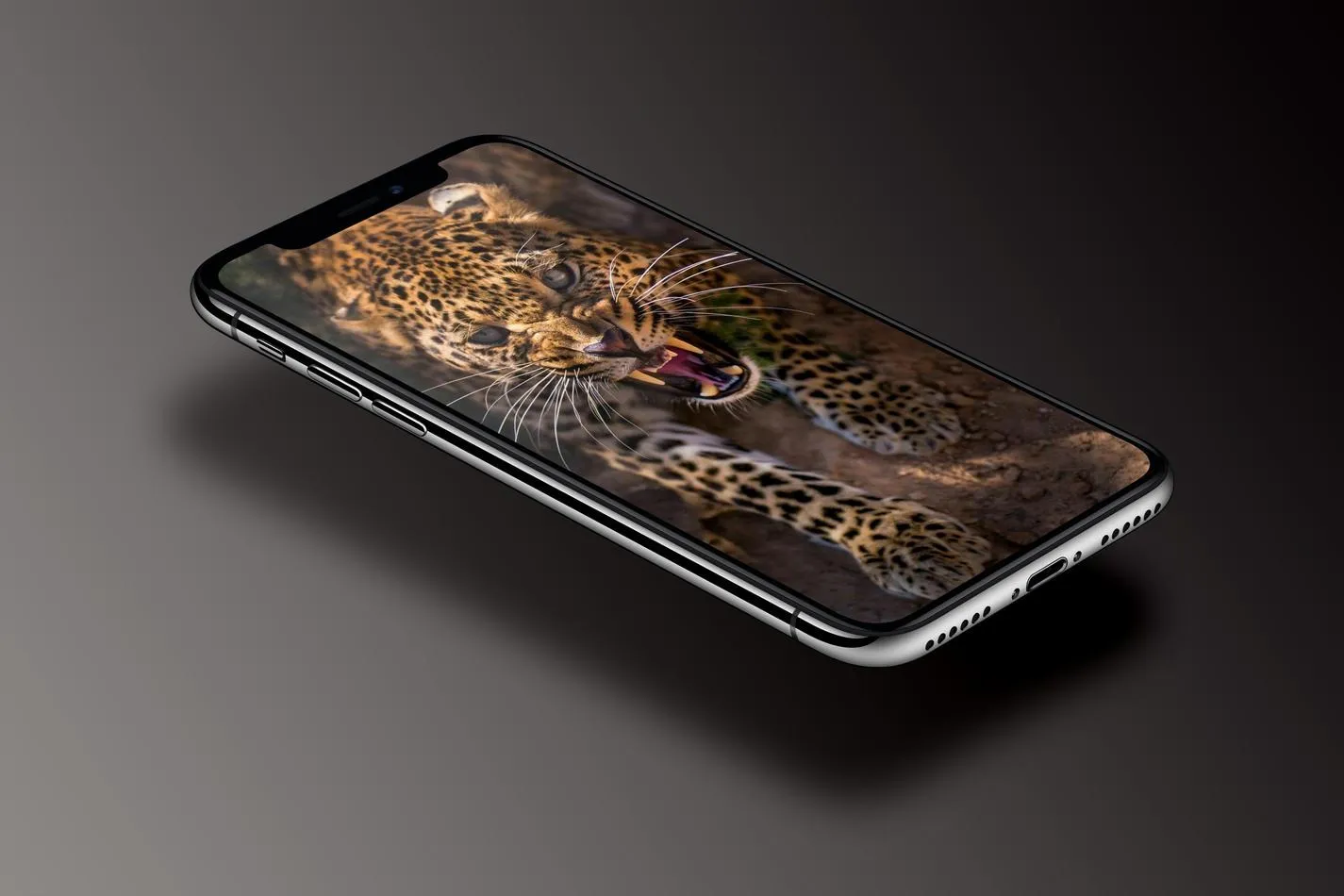 Leopard Wallpaper | Indus Appstore | Screenshot