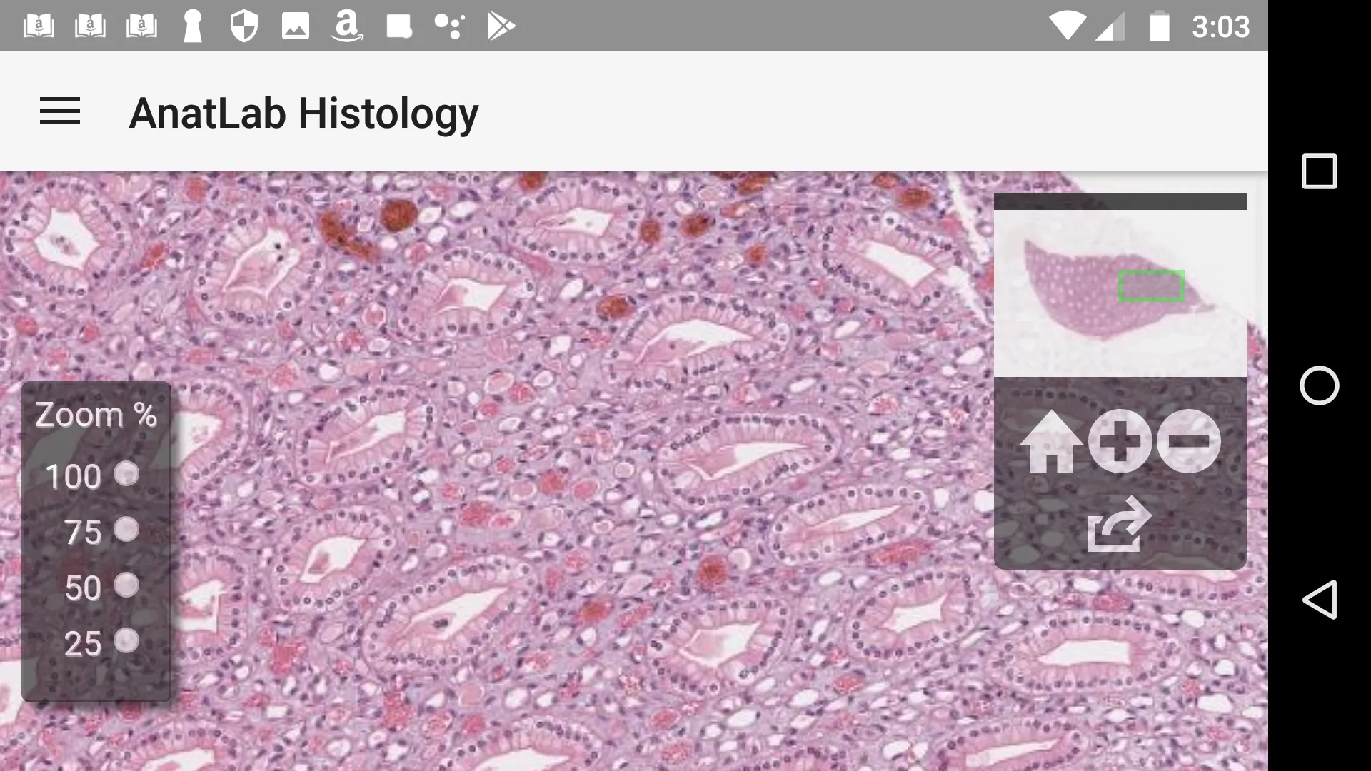 AnatLab Histology | Indus Appstore | Screenshot