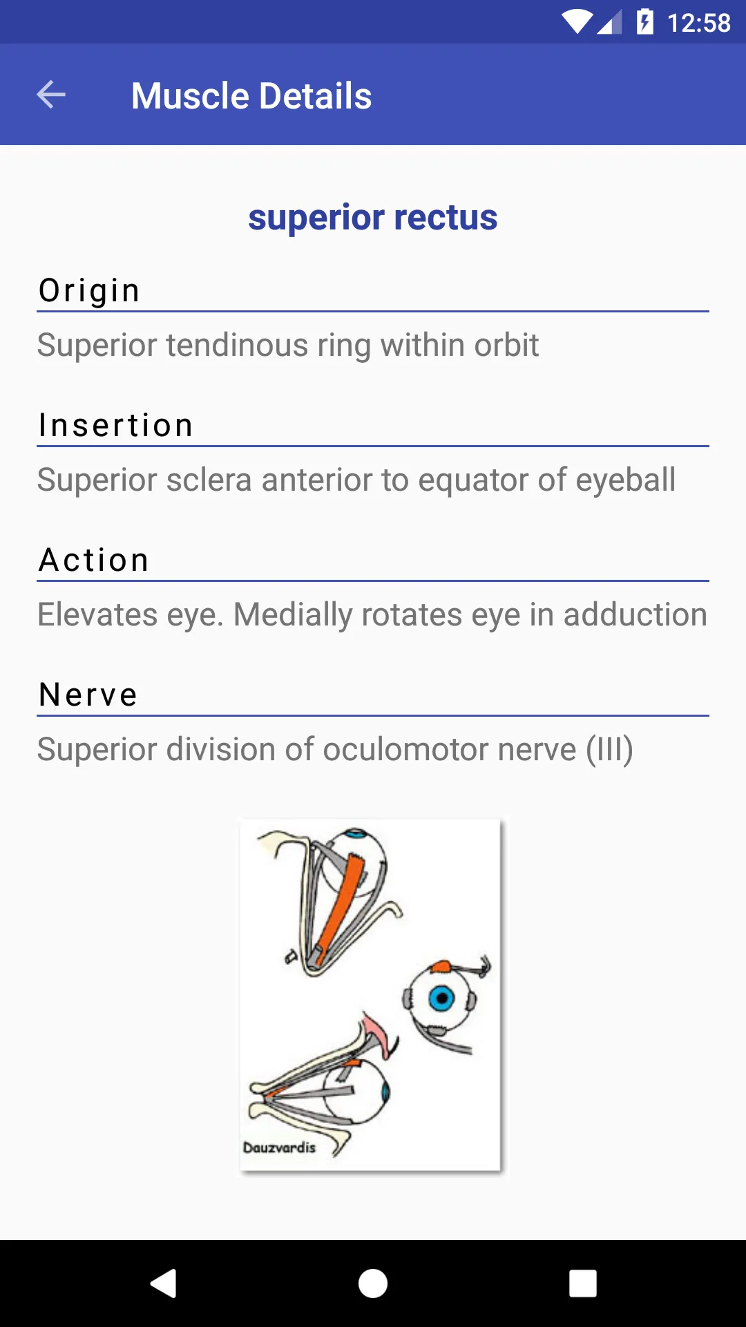 Anatomy Muscles | Indus Appstore | Screenshot