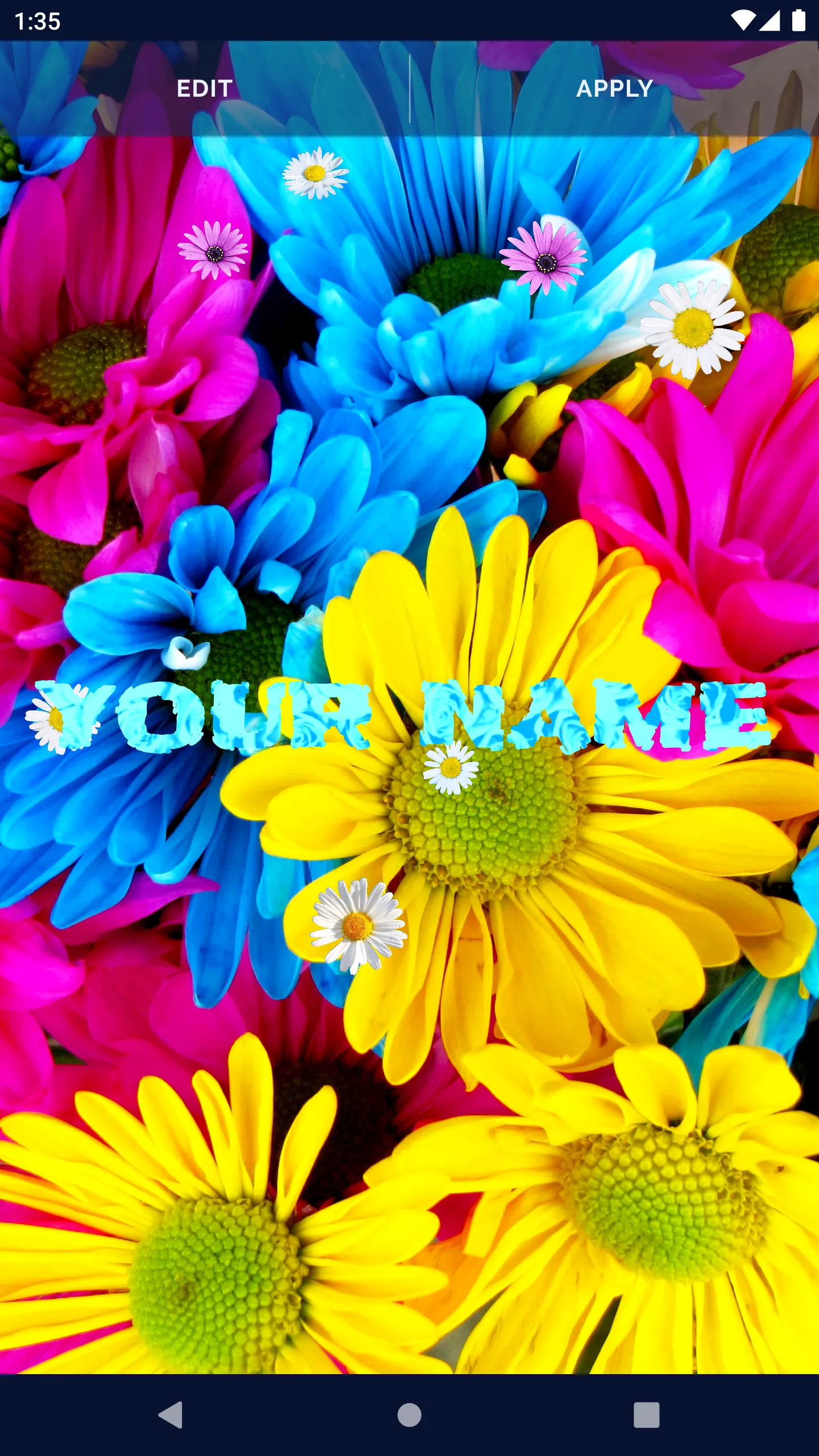 3D Daisy Spring Live Wallpaper | Indus Appstore | Screenshot