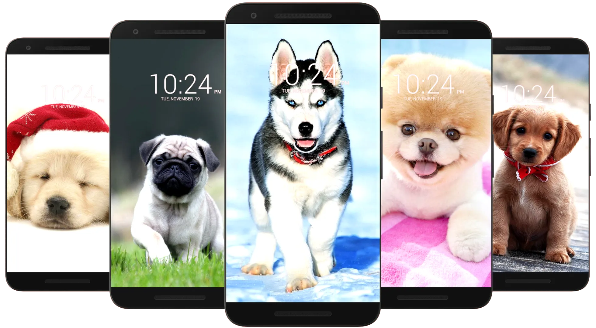 Dog Wallpaper HD | Indus Appstore | Screenshot