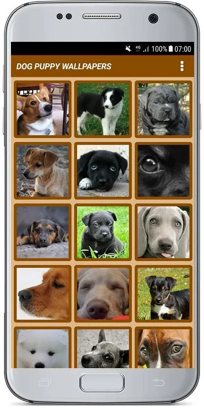 DOG PUPPY WALLPAPERS | Indus Appstore | Screenshot