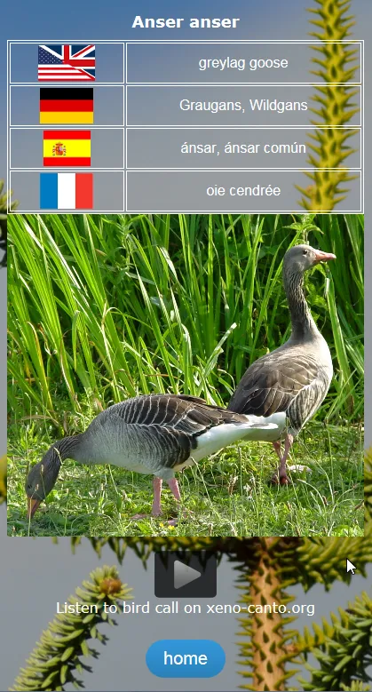 Birds of Europe (DE EN ES FR) | Indus Appstore | Screenshot