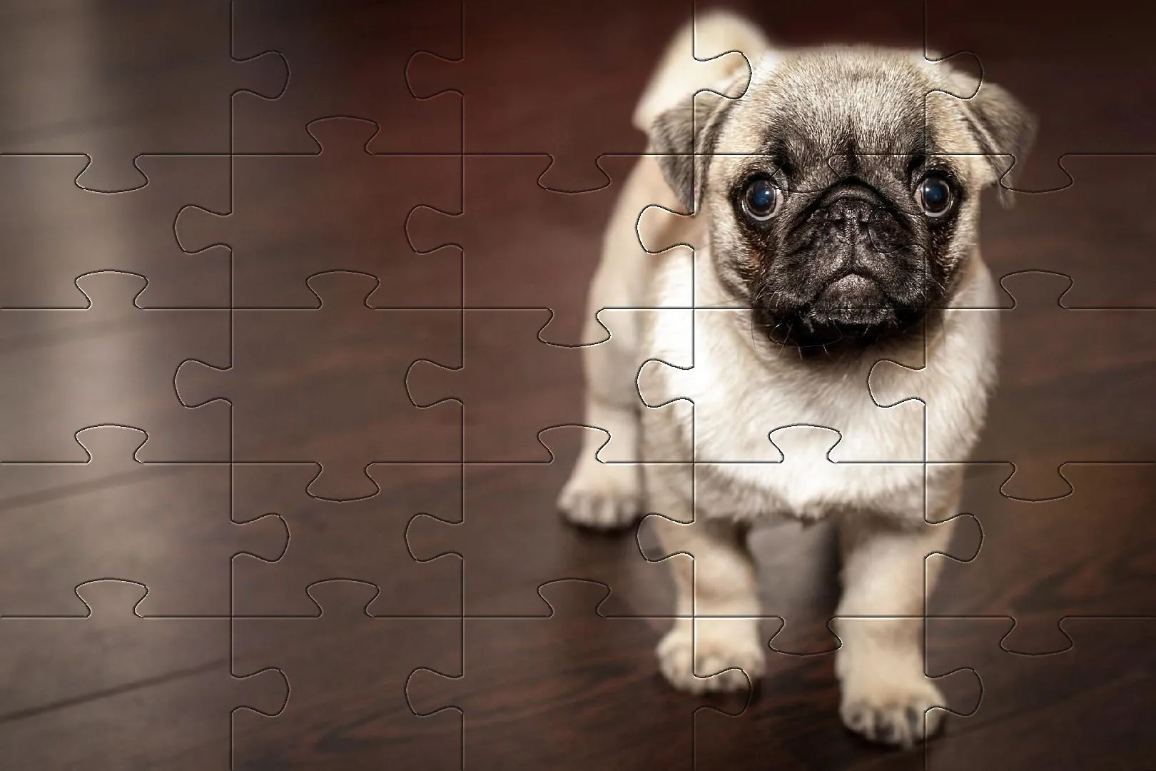 Pugs jigsaw puzzle dogs | Indus Appstore | Screenshot