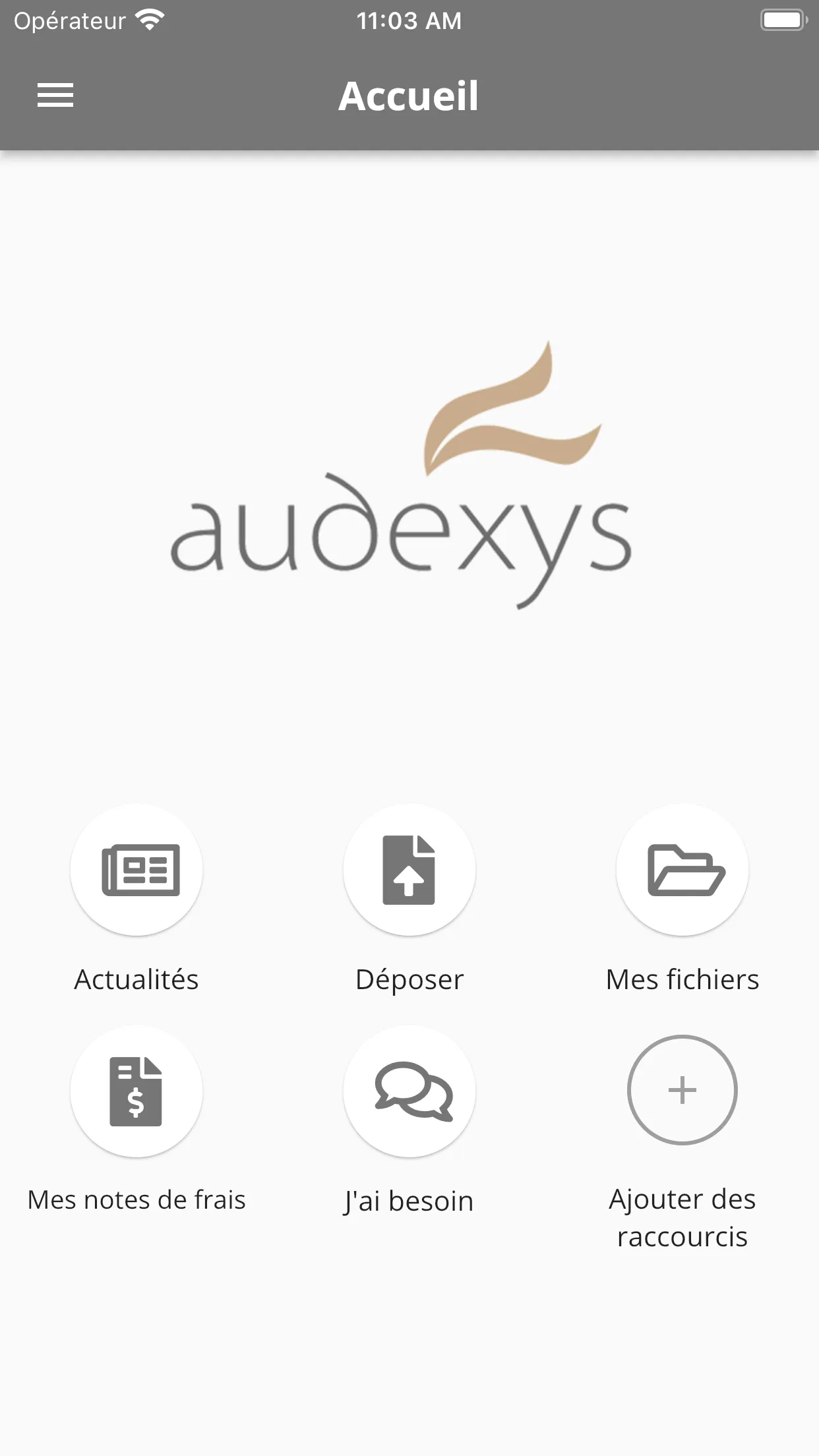 Audexys | Indus Appstore | Screenshot