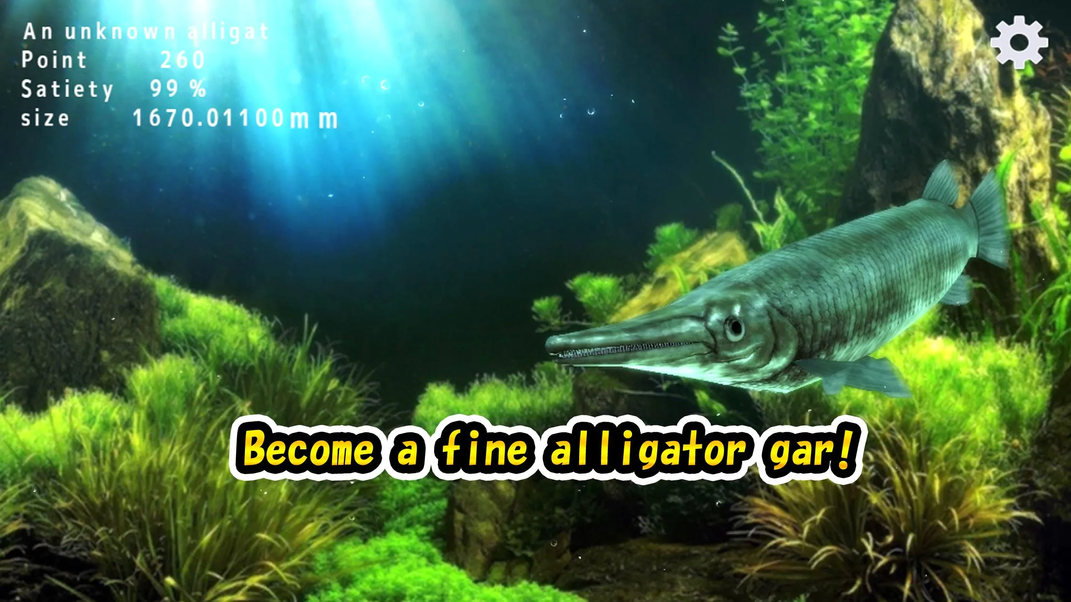 Alligator Gar raising from fry | Indus Appstore | Screenshot