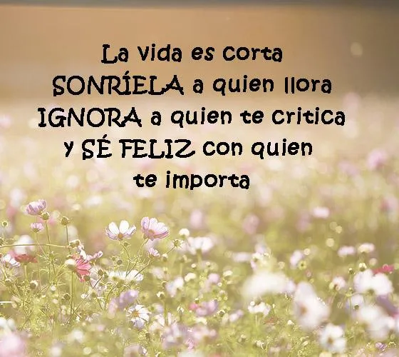 Lindas Reflexiones Positivas | Indus Appstore | Screenshot