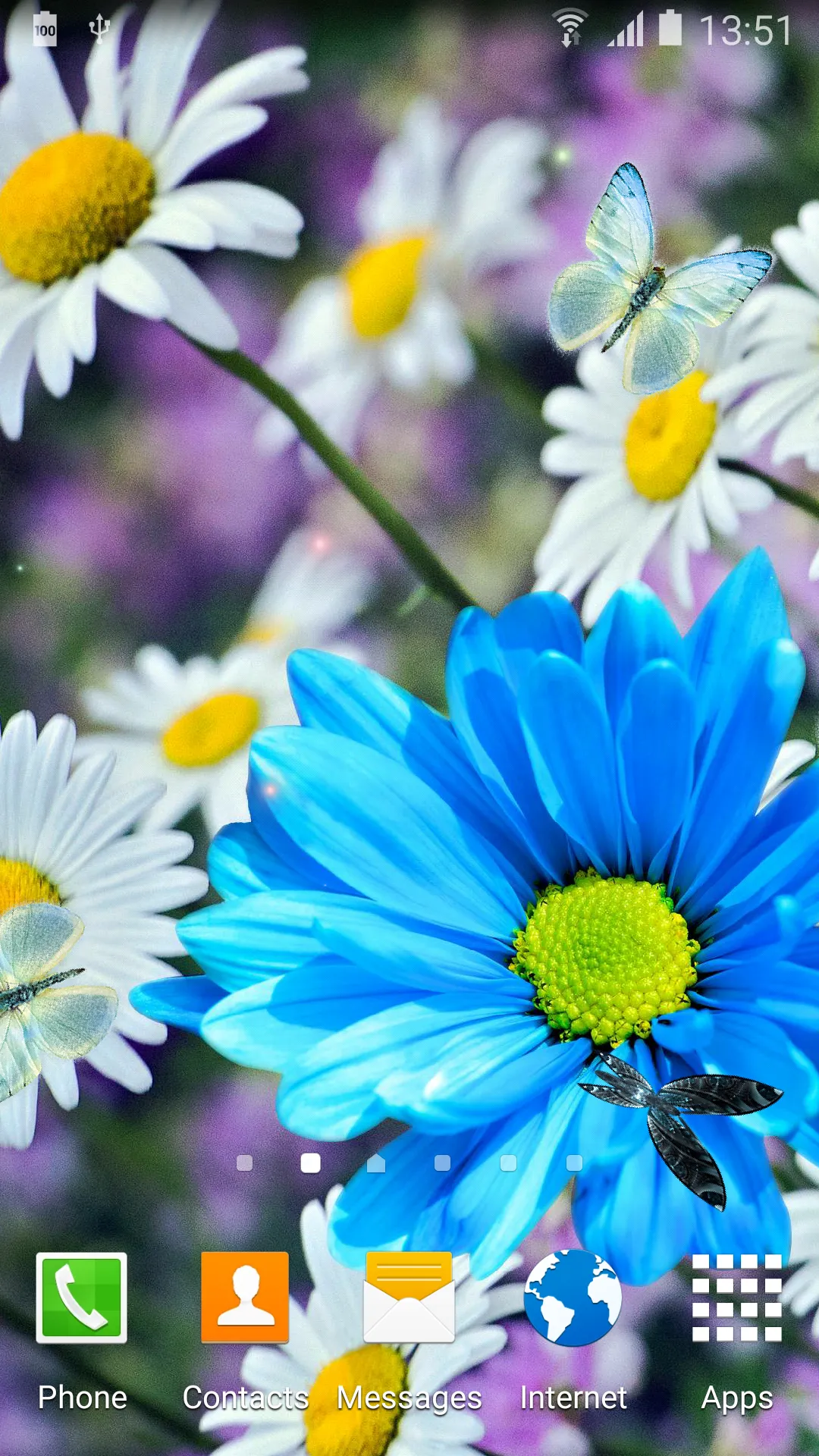 Daisies Flowers Live Wallpaper | Indus Appstore | Screenshot