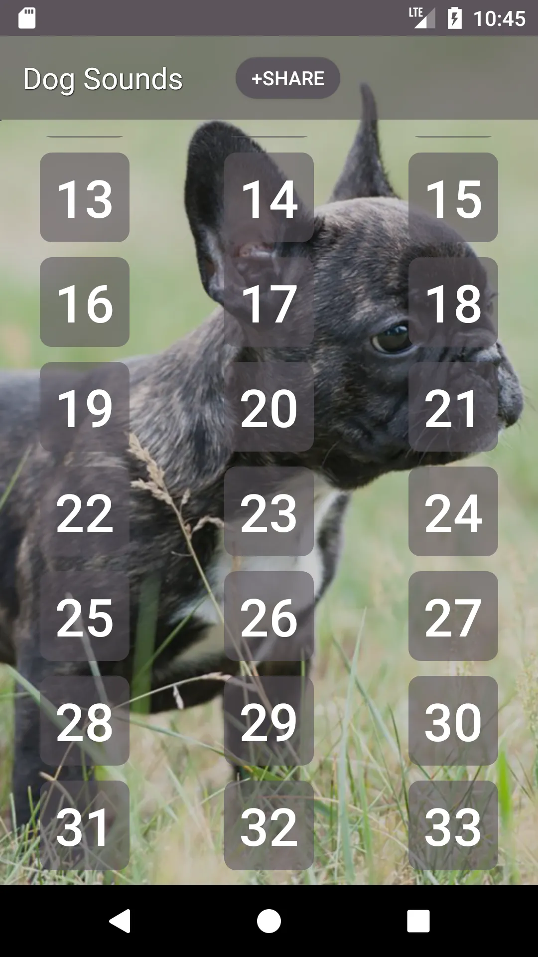 Dog Soundboard | Indus Appstore | Screenshot