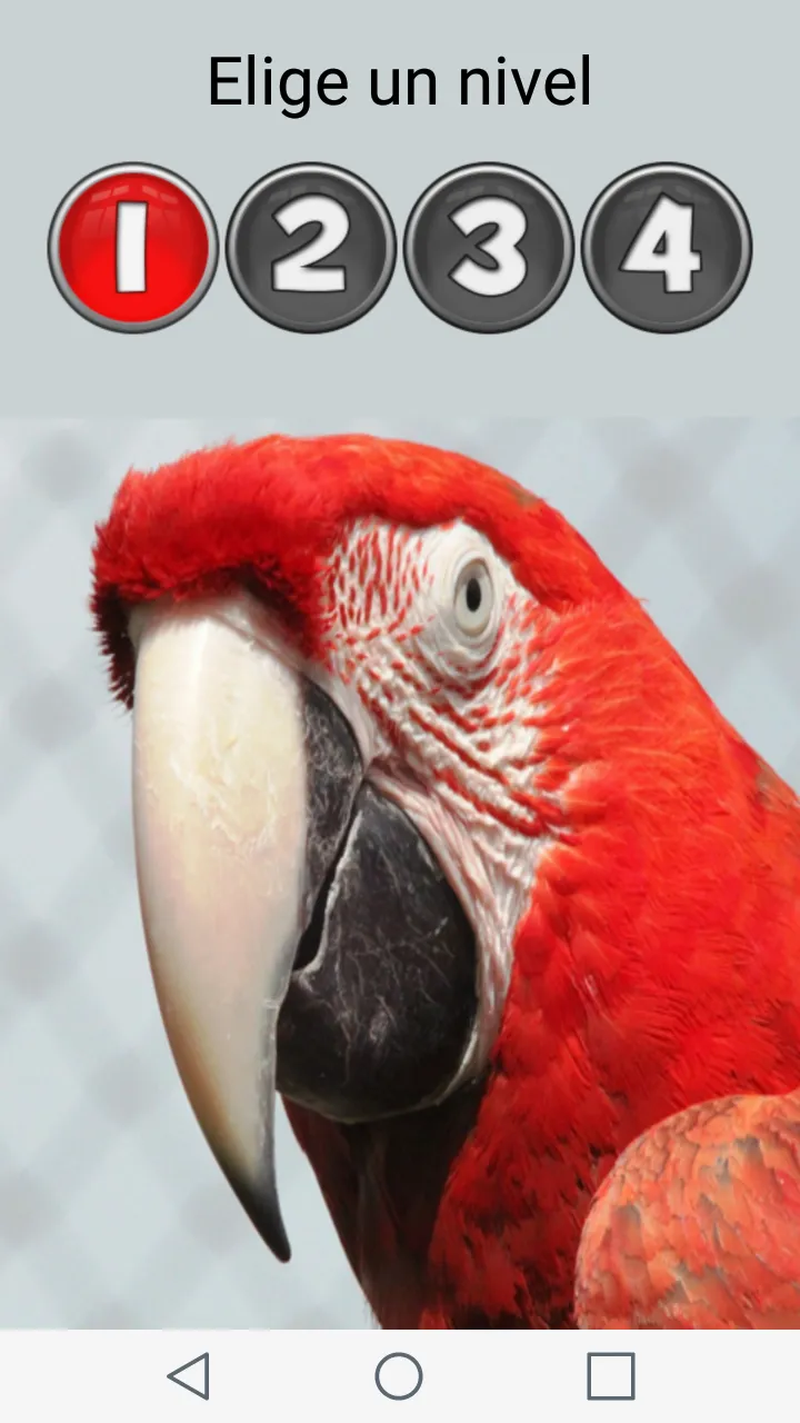 Animal Memory - Brain Game | Indus Appstore | Screenshot