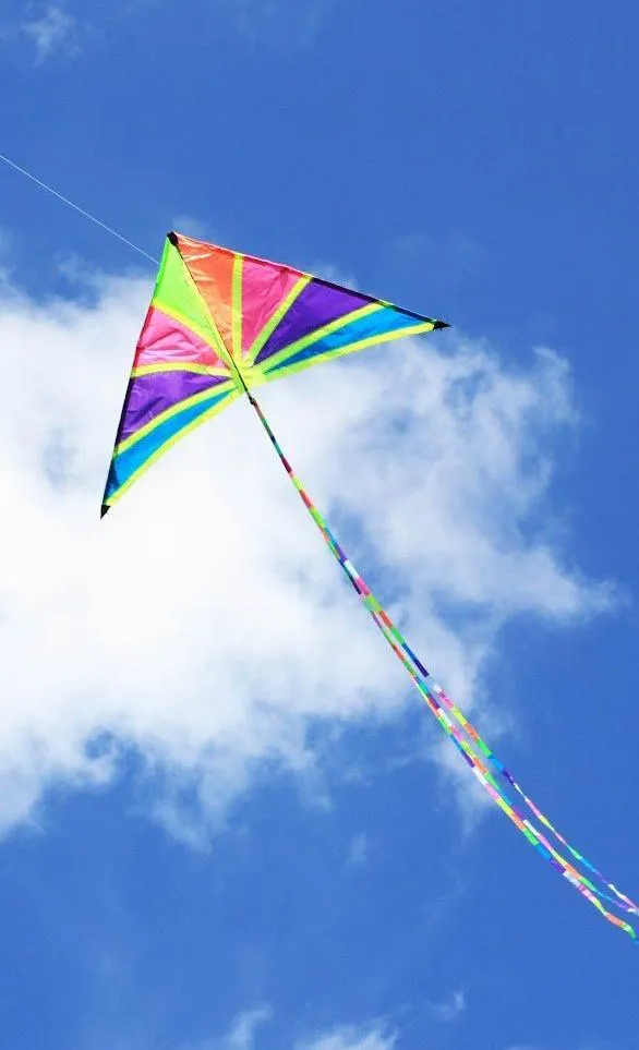 Kite wallpaper 4K | Indus Appstore | Screenshot