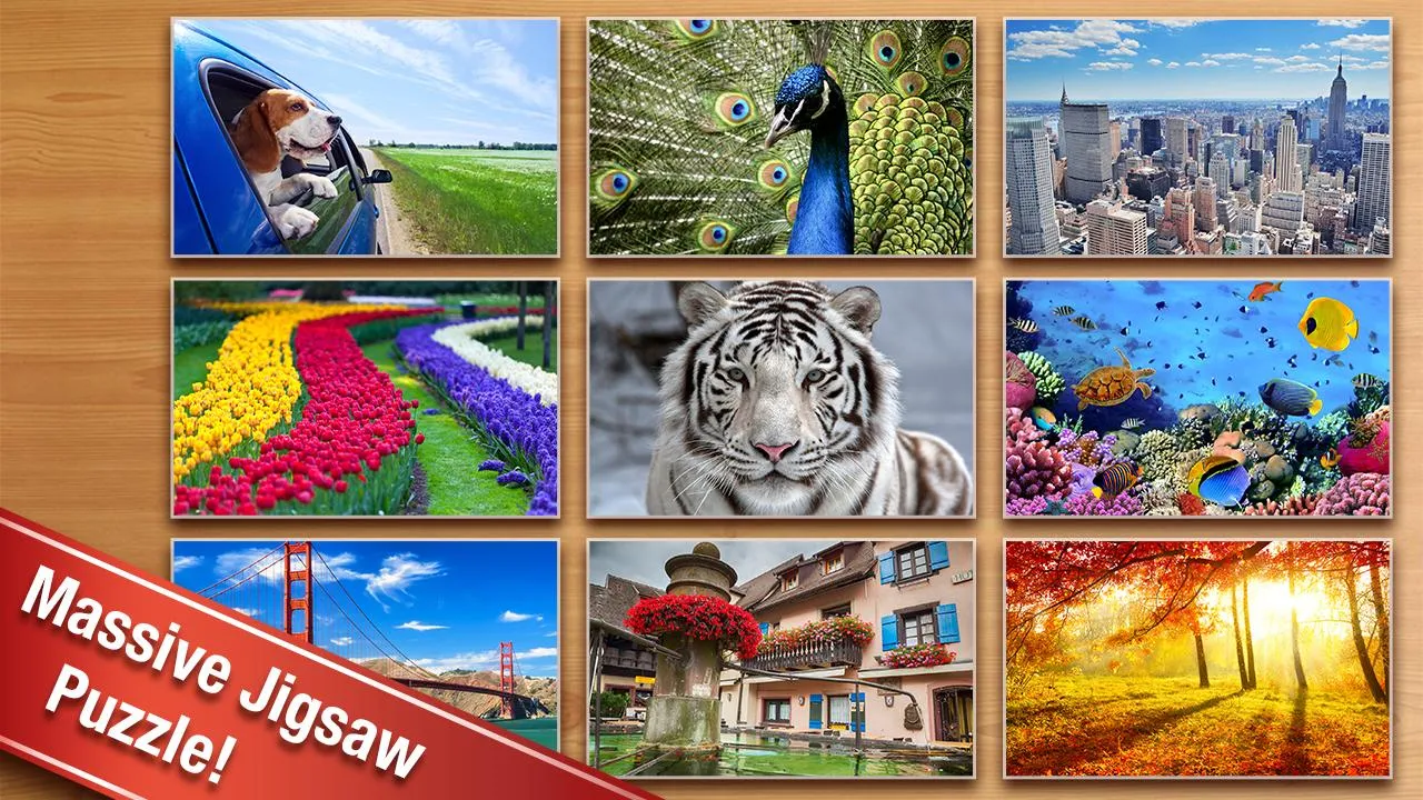 Jigsaw Puzzle - Classic Puzzle | Indus Appstore | Screenshot