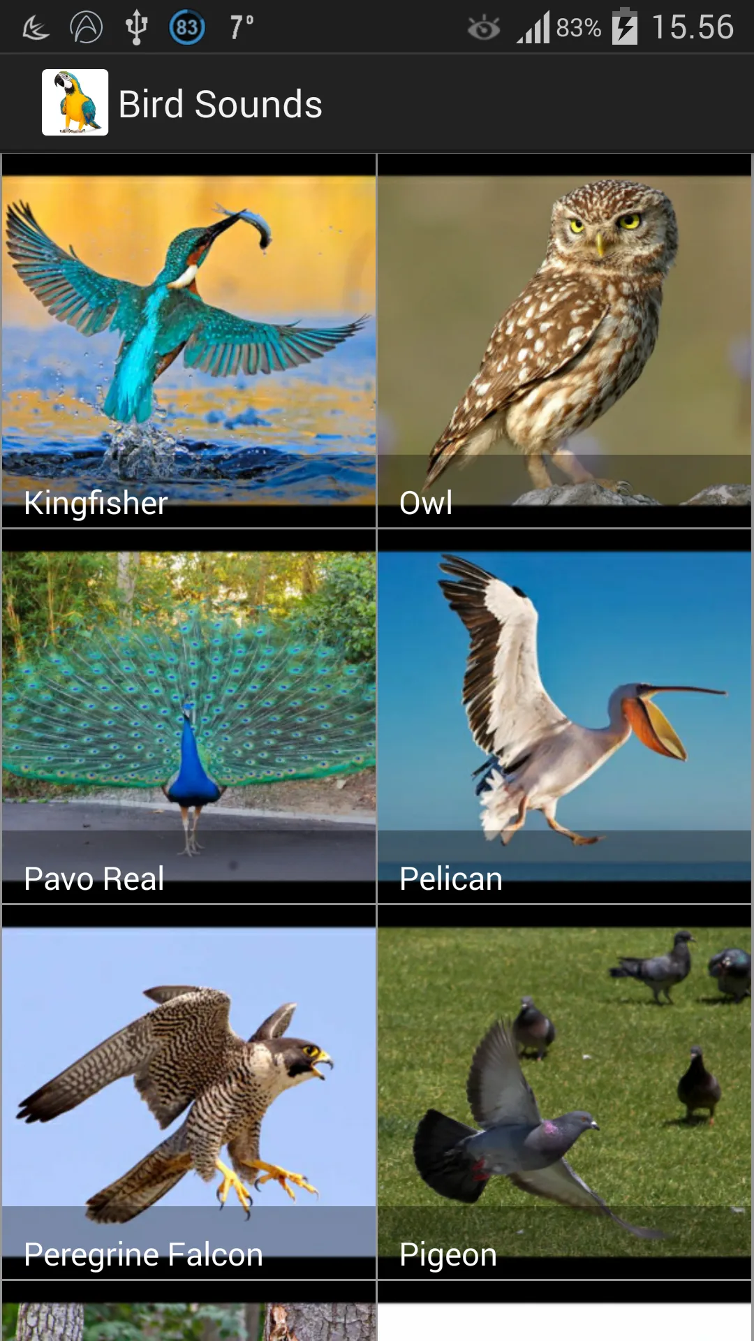 Bird Sounds | Indus Appstore | Screenshot