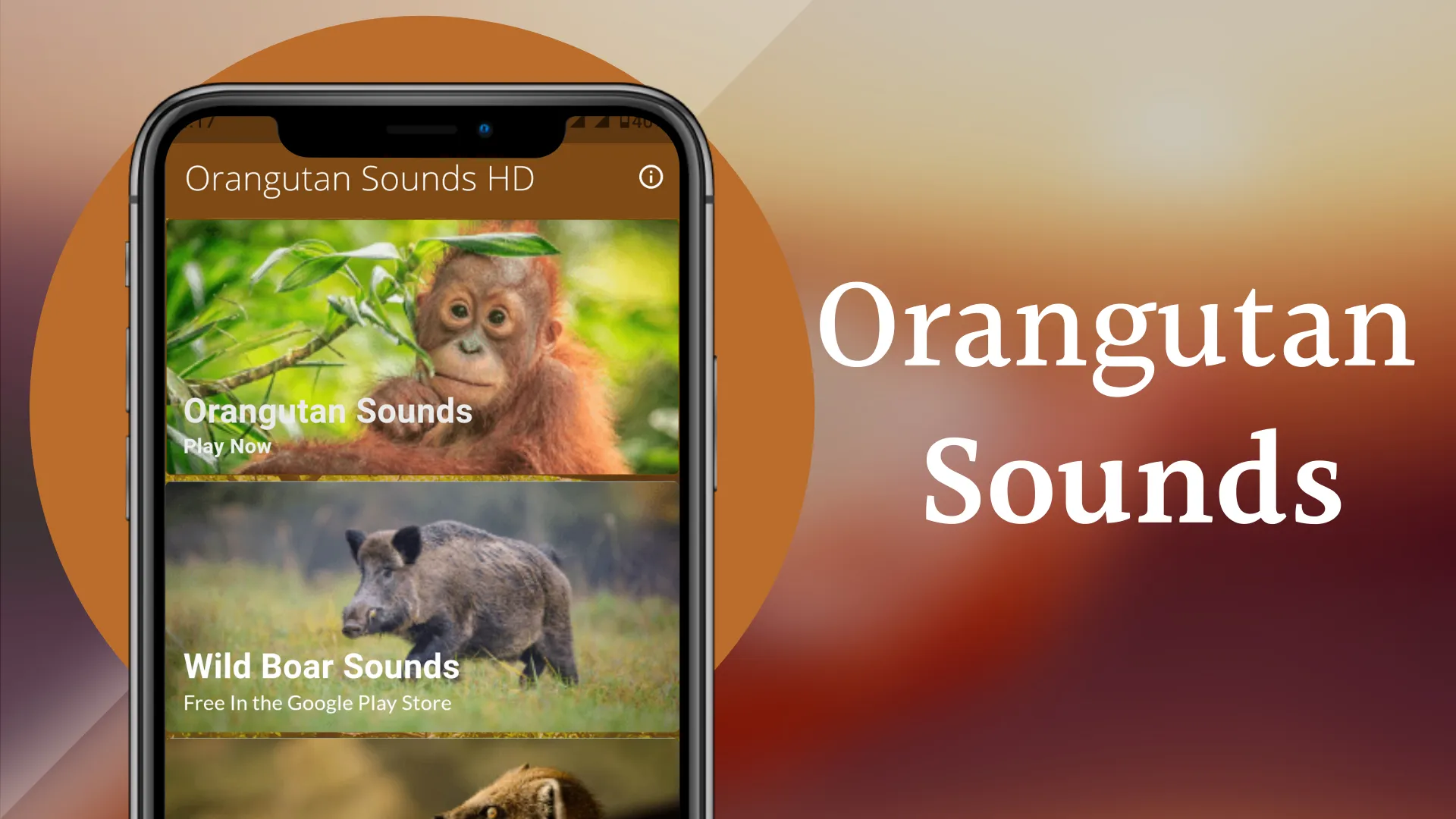 Orangutan Sounds | Indus Appstore | Screenshot