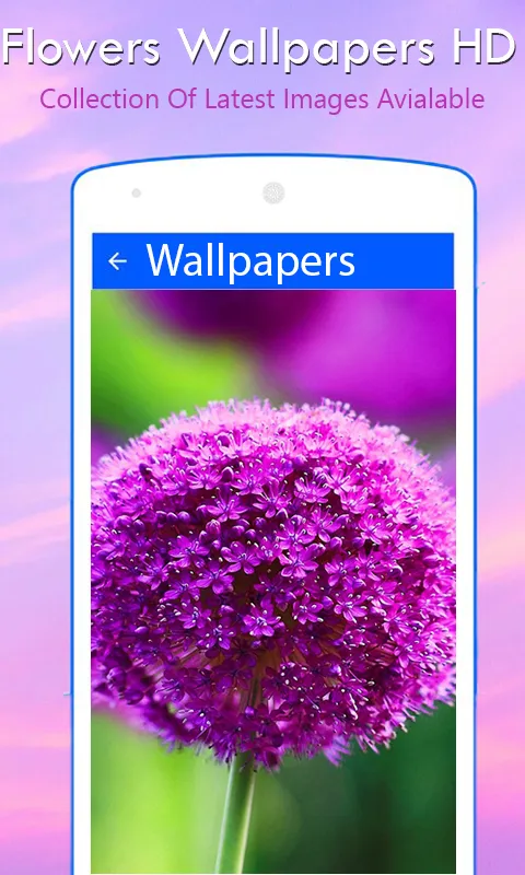 Flowers Wallpapers HD | Indus Appstore | Screenshot