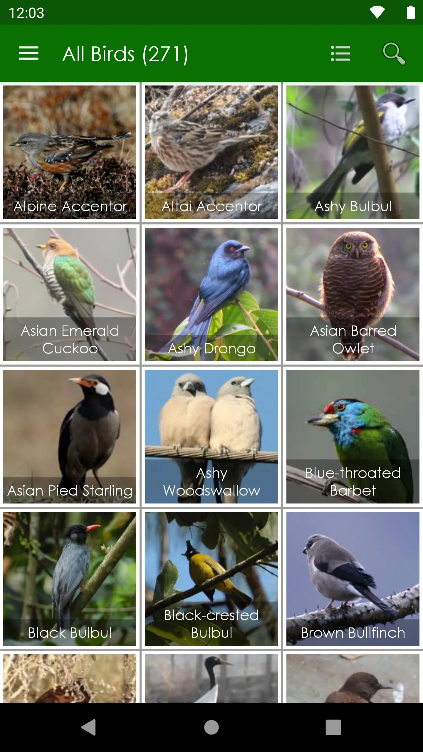 Bhutan eBirds | Indus Appstore | Screenshot