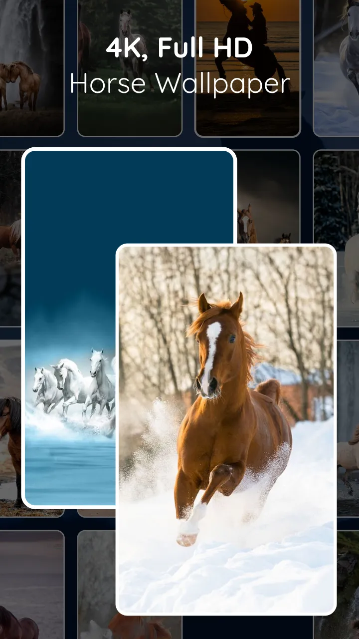 Horse HD Live Wallpaper | Indus Appstore | Screenshot