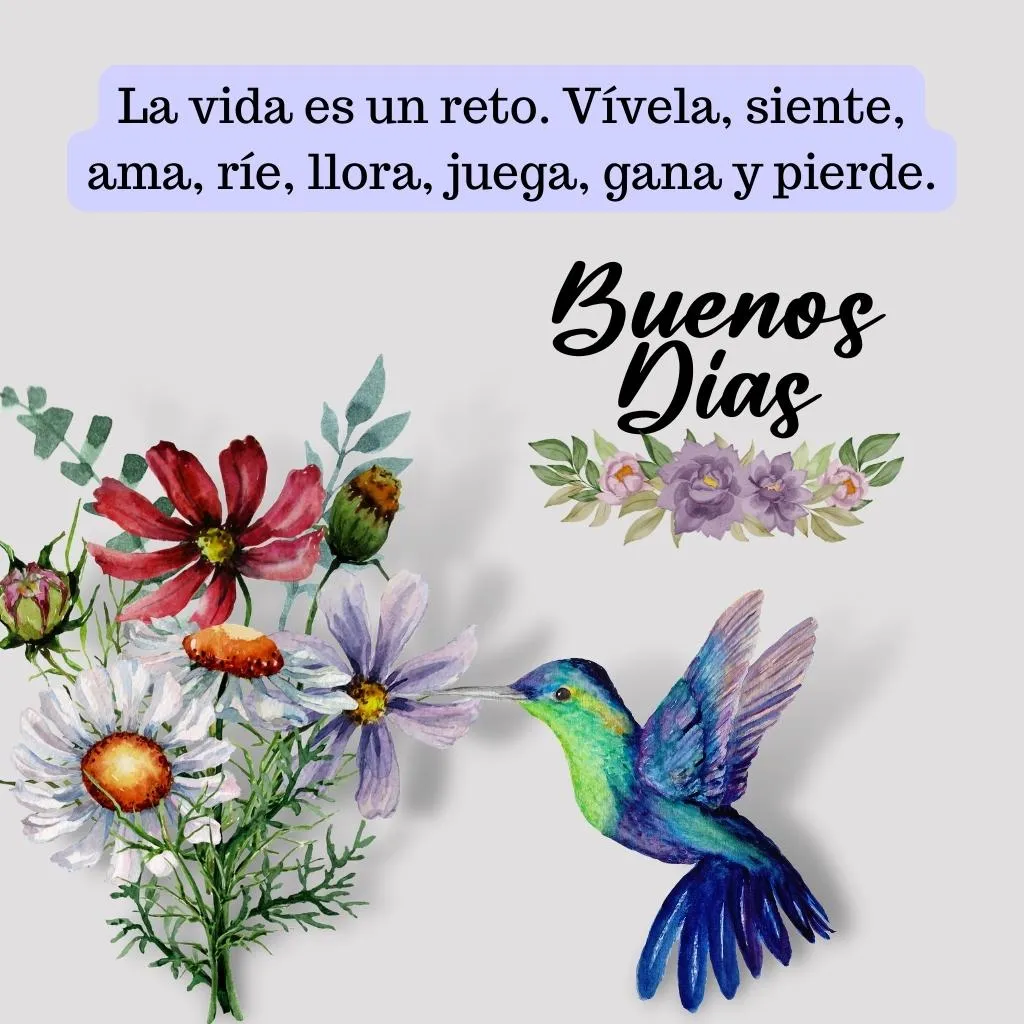 Frases de Buenos Días | Indus Appstore | Screenshot