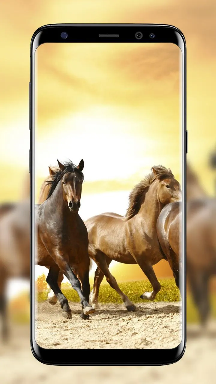 Horse Wallpapers | Indus Appstore | Screenshot