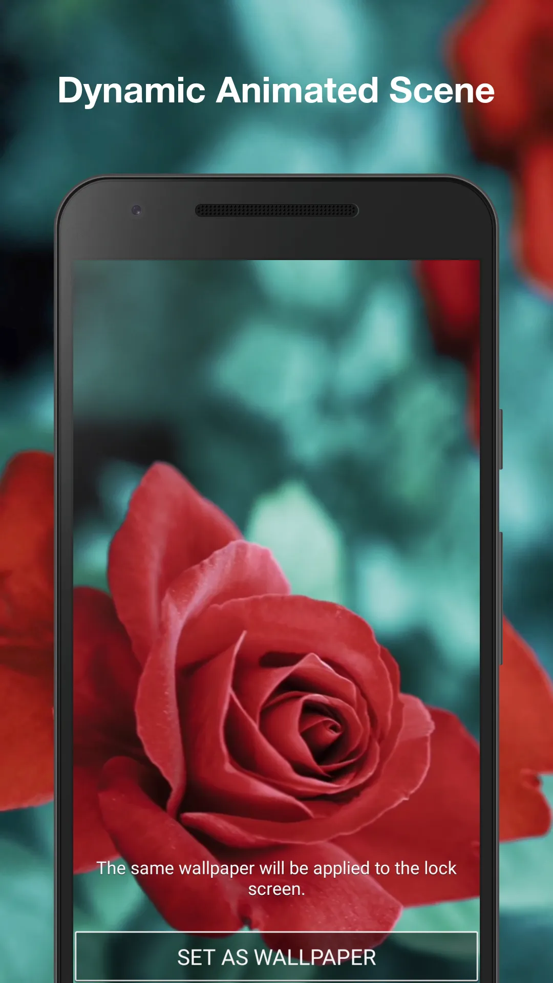 Red Rose Live Wallpaper | Indus Appstore | Screenshot