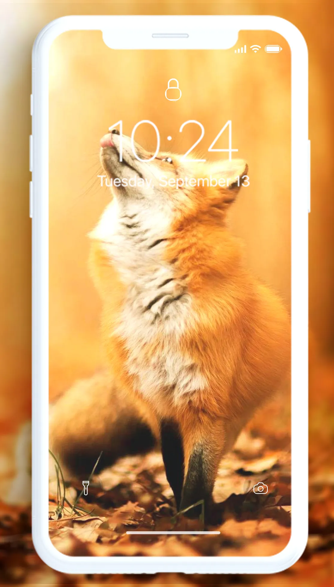 Fox Wallpaper | Indus Appstore | Screenshot