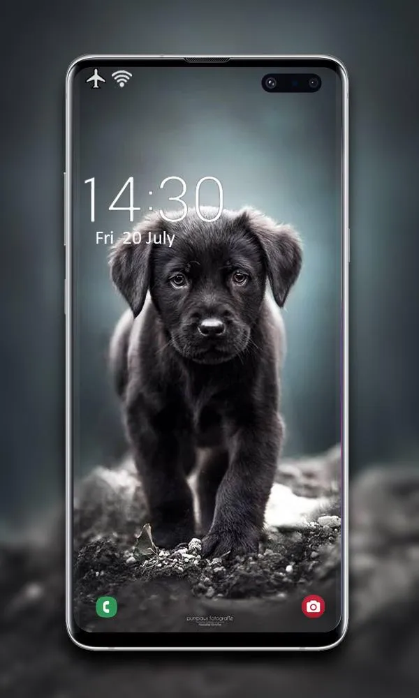 Puppy Wallpaper | Indus Appstore | Screenshot