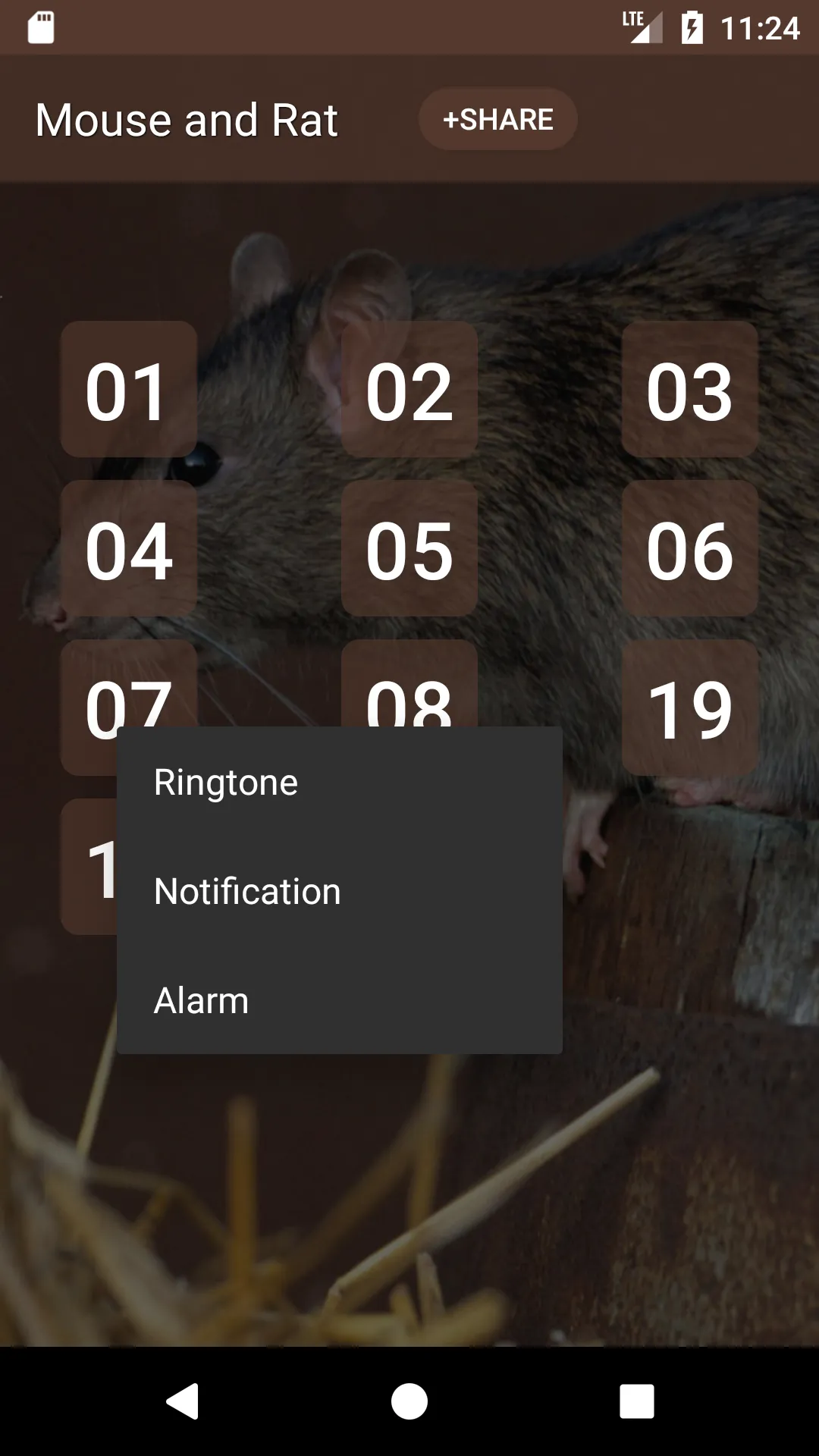 Mouse and Rat Sounds | Indus Appstore | Screenshot