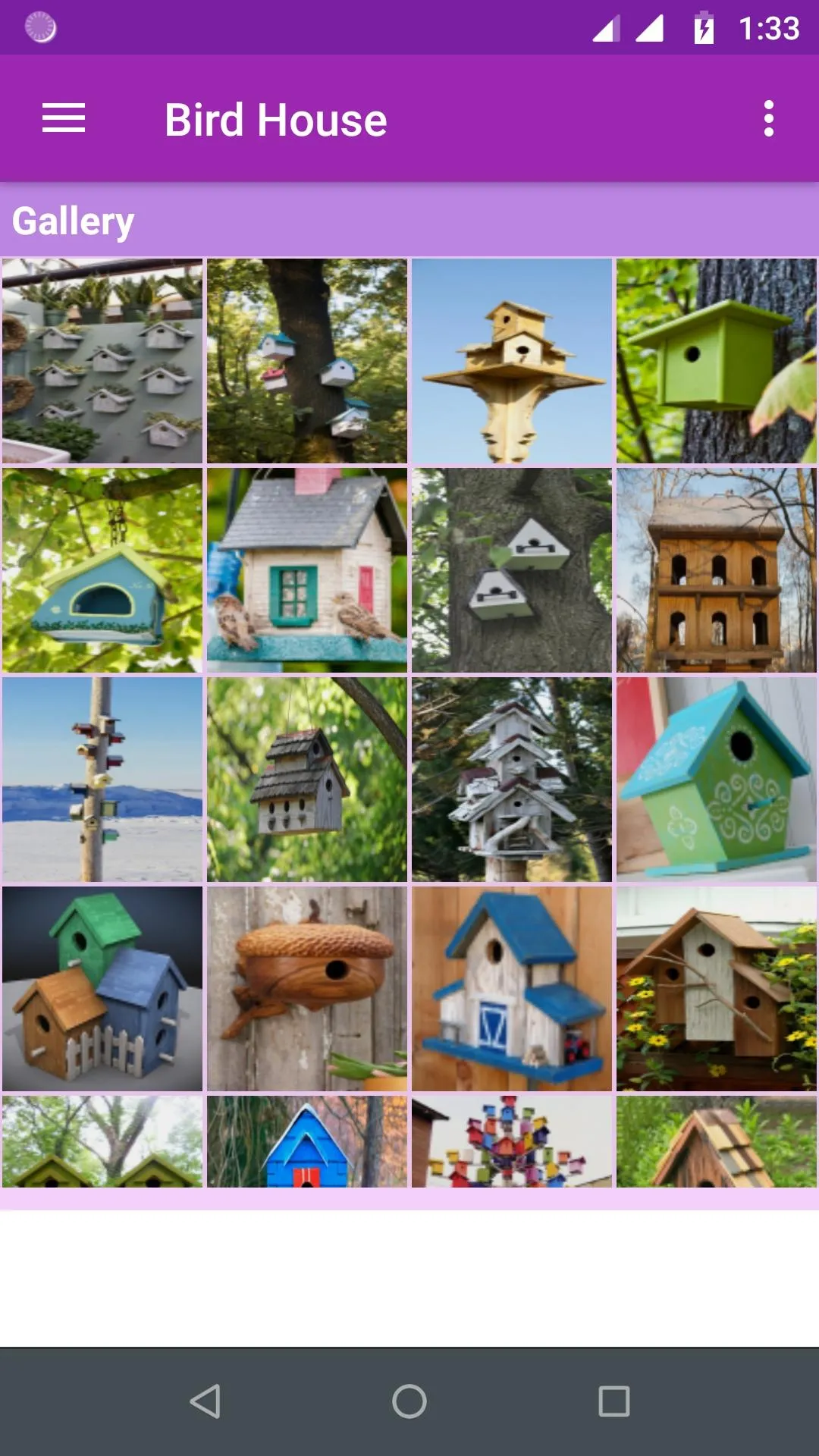 Bird House Gallery | Indus Appstore | Screenshot