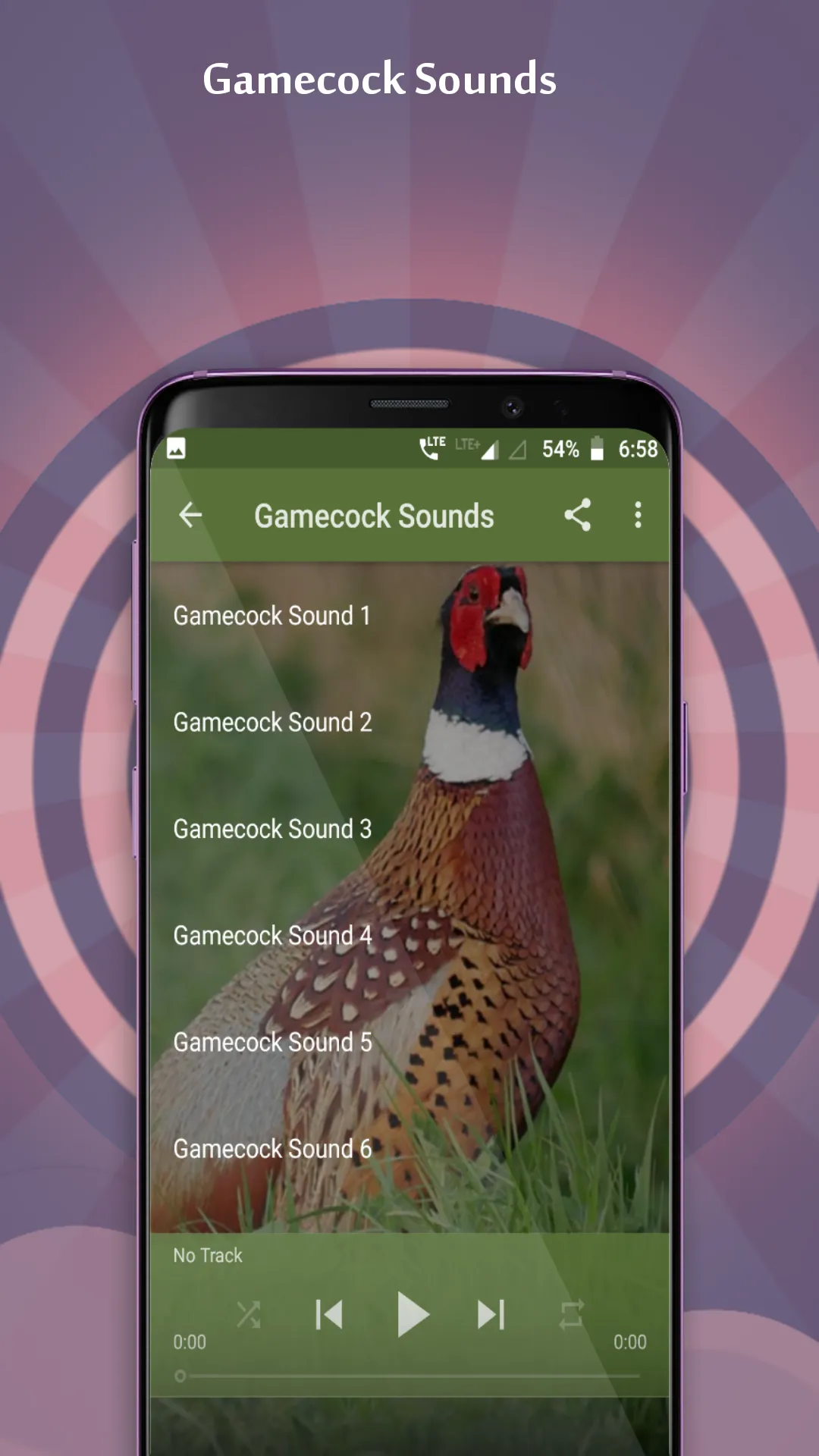 Gamecock Sounds | Indus Appstore | Screenshot