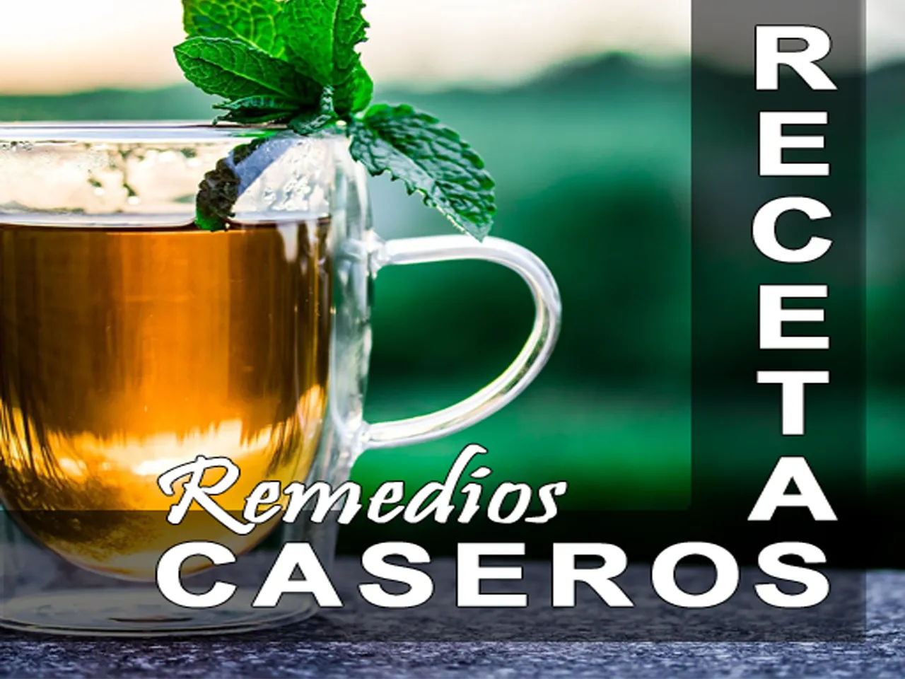 Recetas de Remedios Caseros | Indus Appstore | Screenshot