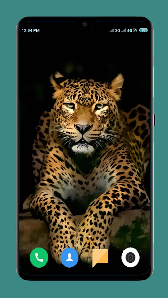 Wild Animal Wallpaper 4K | Indus Appstore | Screenshot