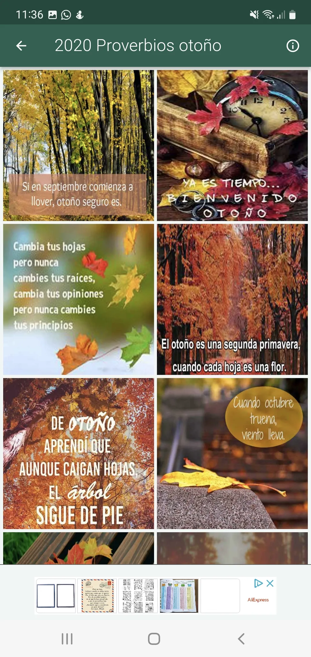 Feliz Otoño, bienvenido frío | Indus Appstore | Screenshot