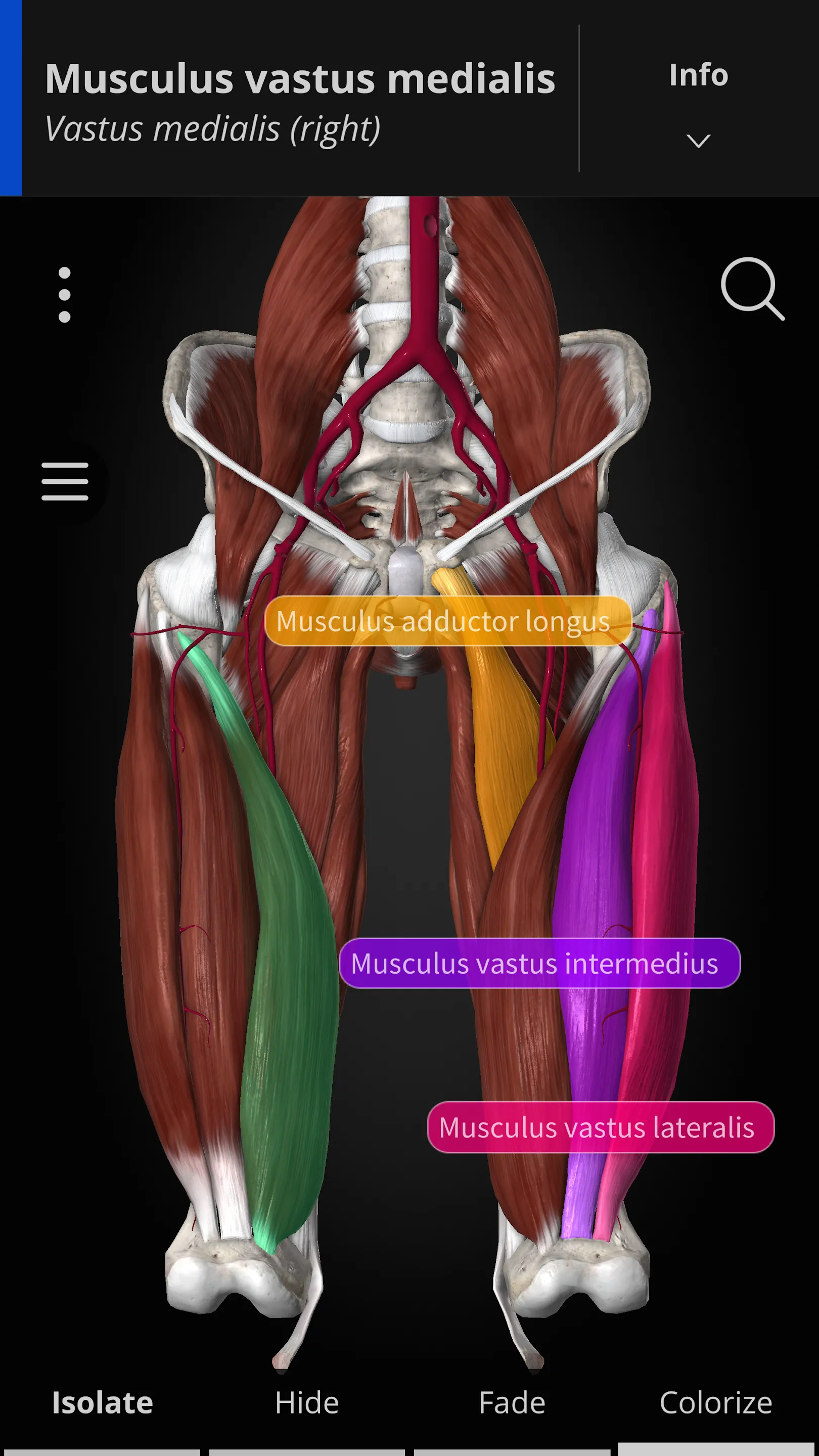 Anatomyka - 3D Anatomy Atlas | Indus Appstore | Screenshot