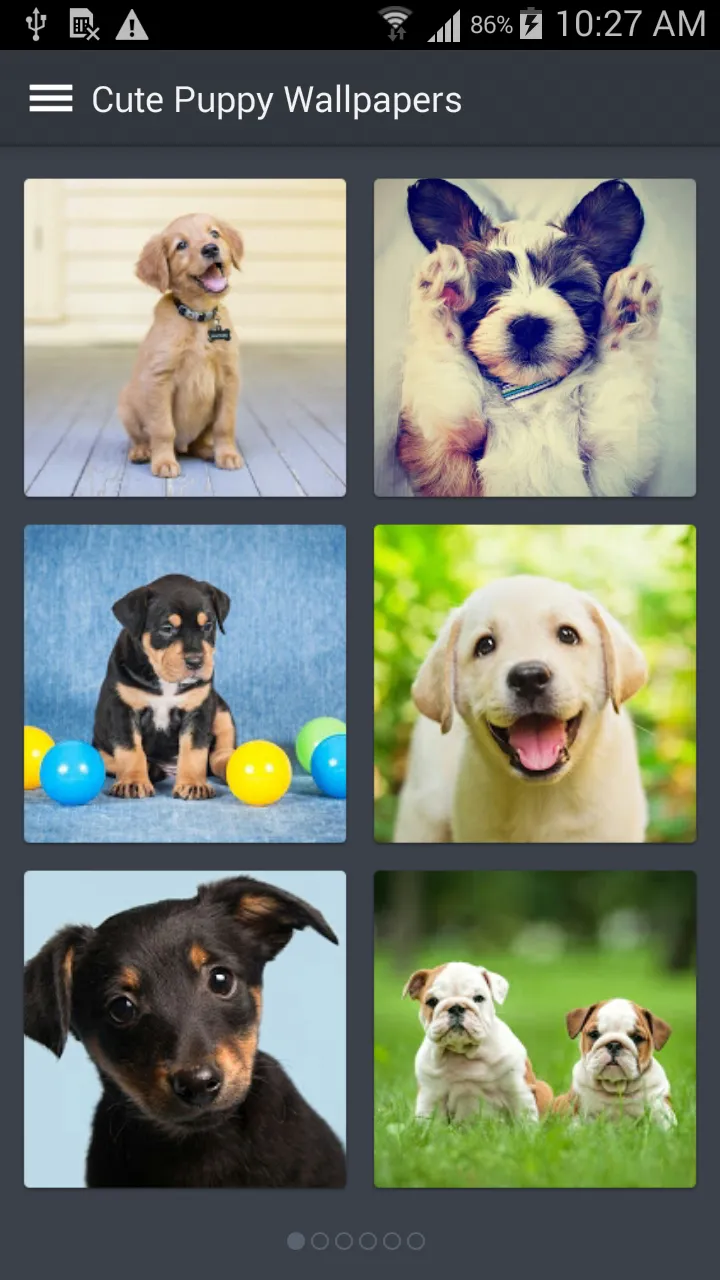 Cute Puppy Wallpapers | Indus Appstore | Screenshot