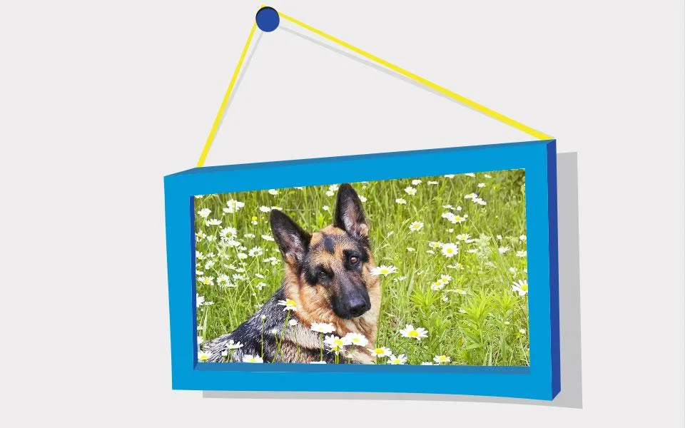 Picture Puzzle: German Shepher | Indus Appstore | Screenshot