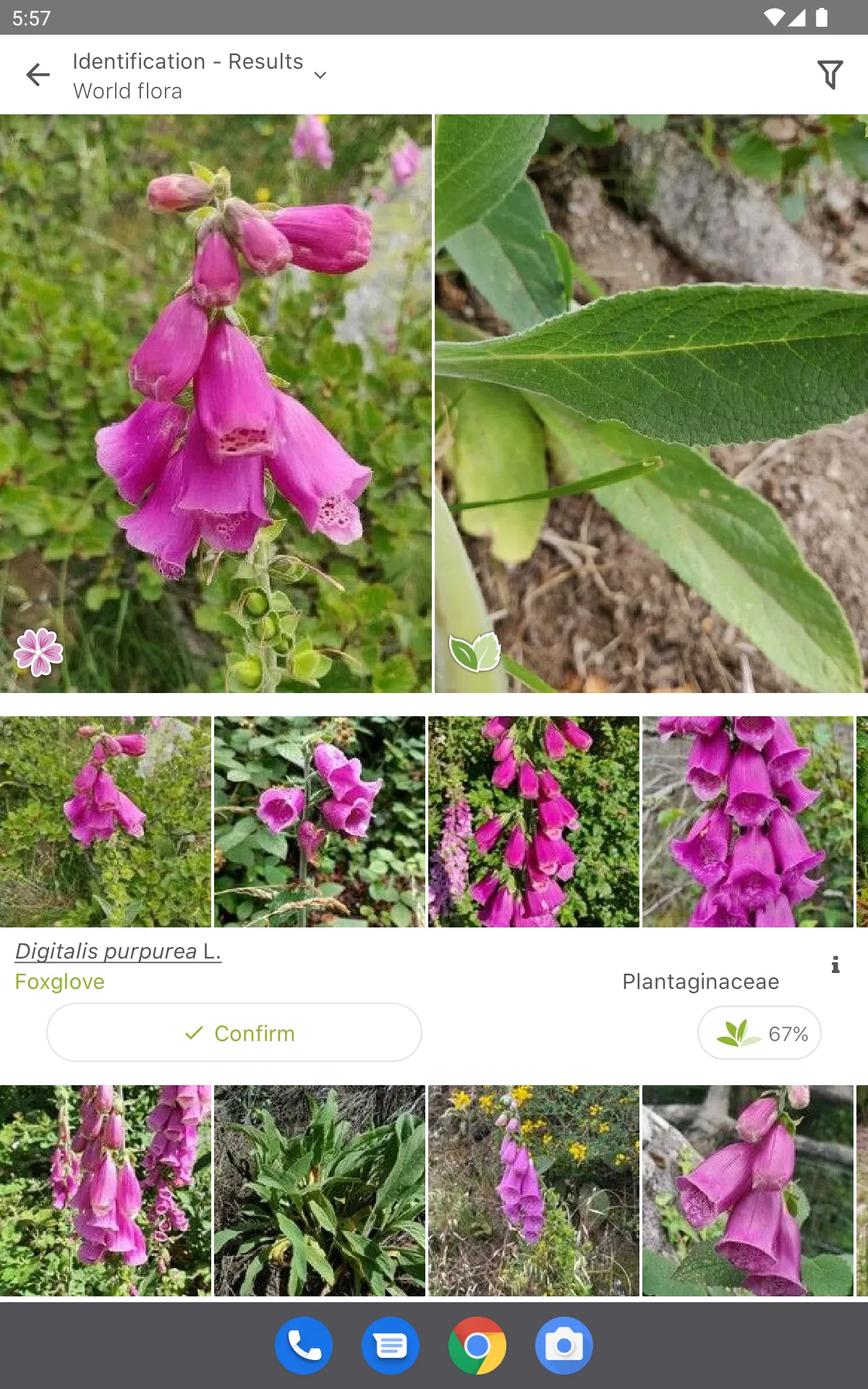 PlantNet Plant Identification | Indus Appstore | Screenshot