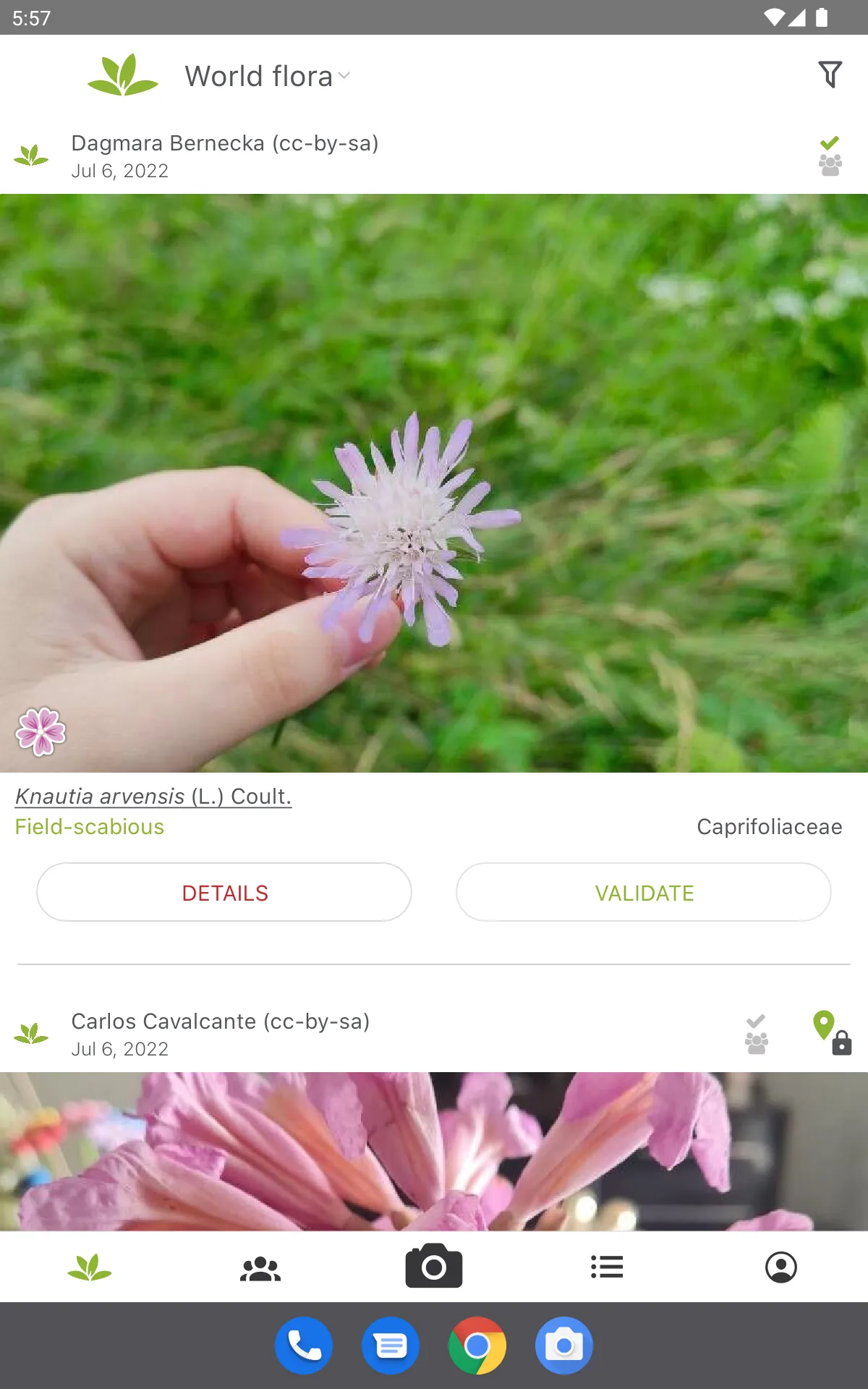 PlantNet Plant Identification | Indus Appstore | Screenshot