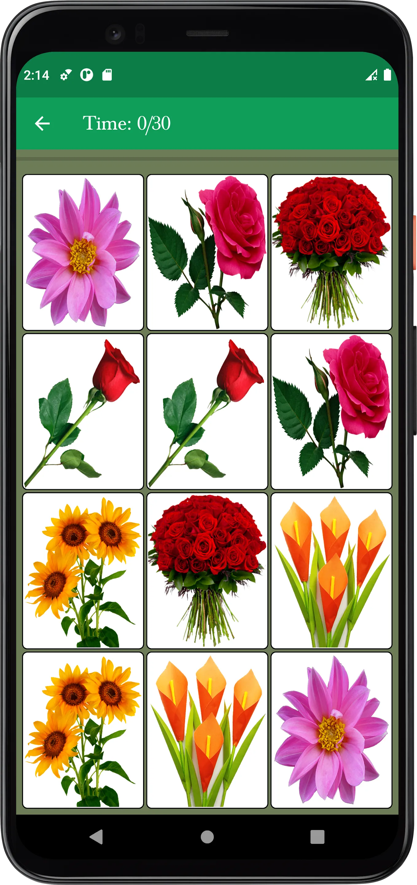 Flower Memory Matching Game | Indus Appstore | Screenshot