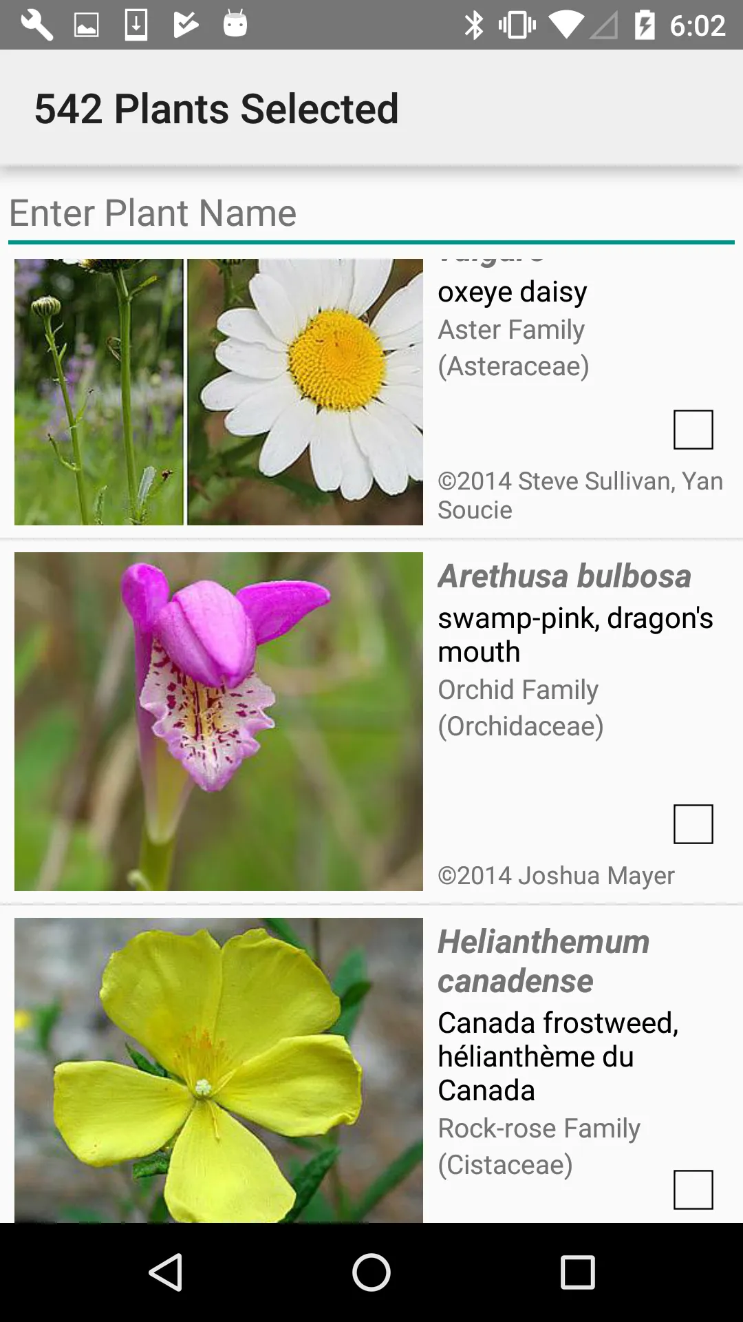 New Jersey Wildflowers | Indus Appstore | Screenshot