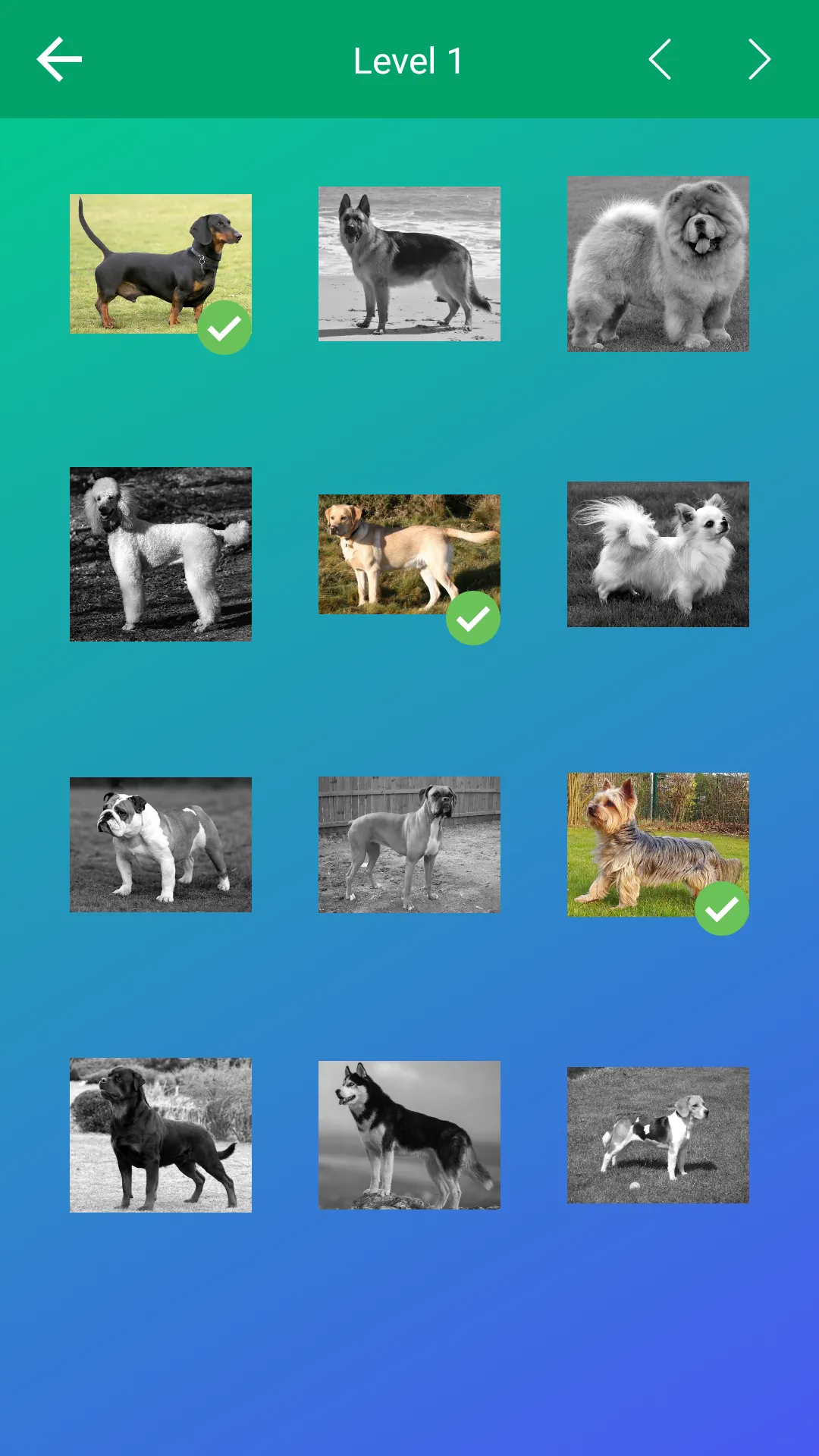 Dog Quiz: Guess the Breed — Ga | Indus Appstore | Screenshot