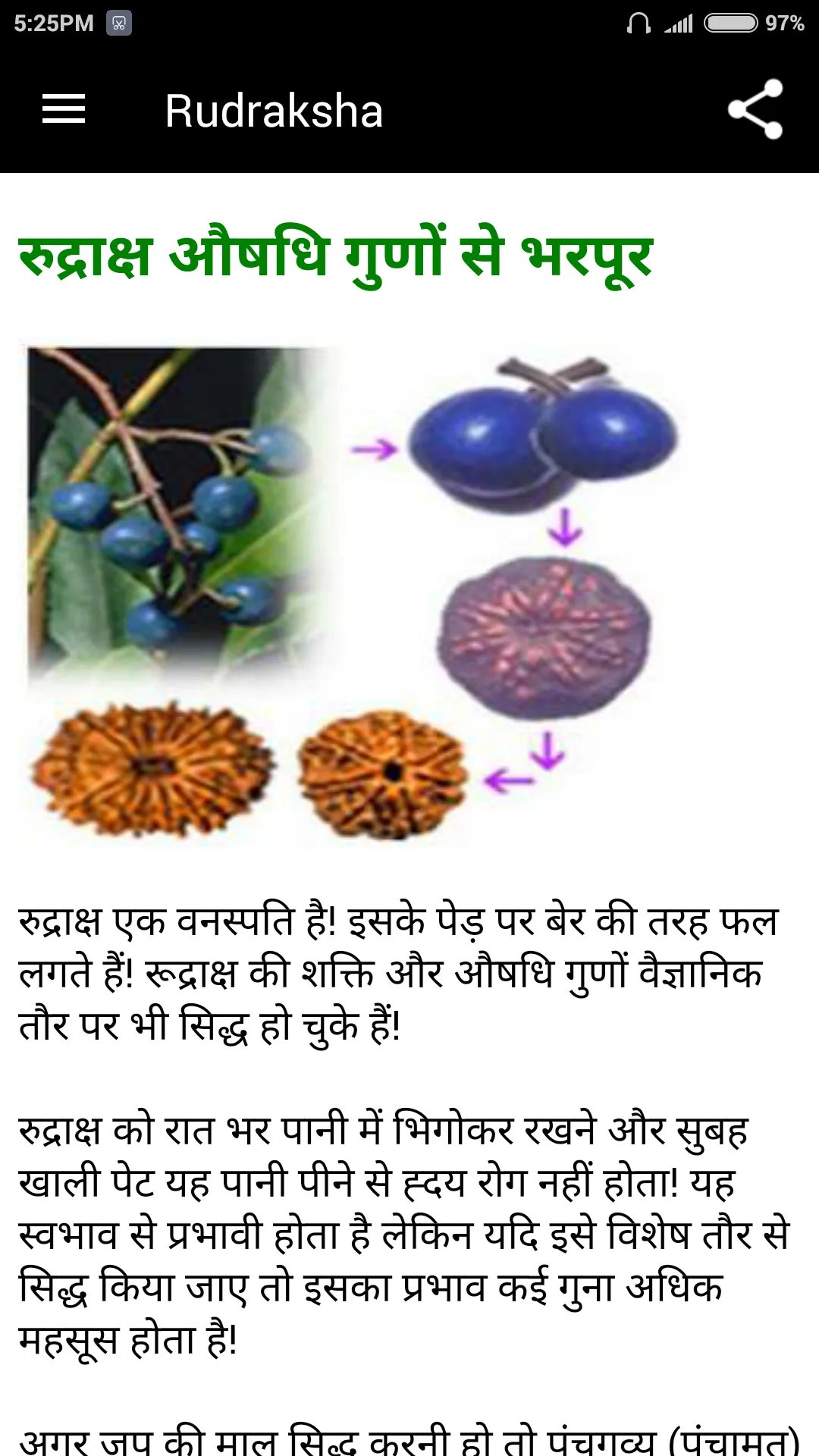 Rudraksha | Indus Appstore | Screenshot