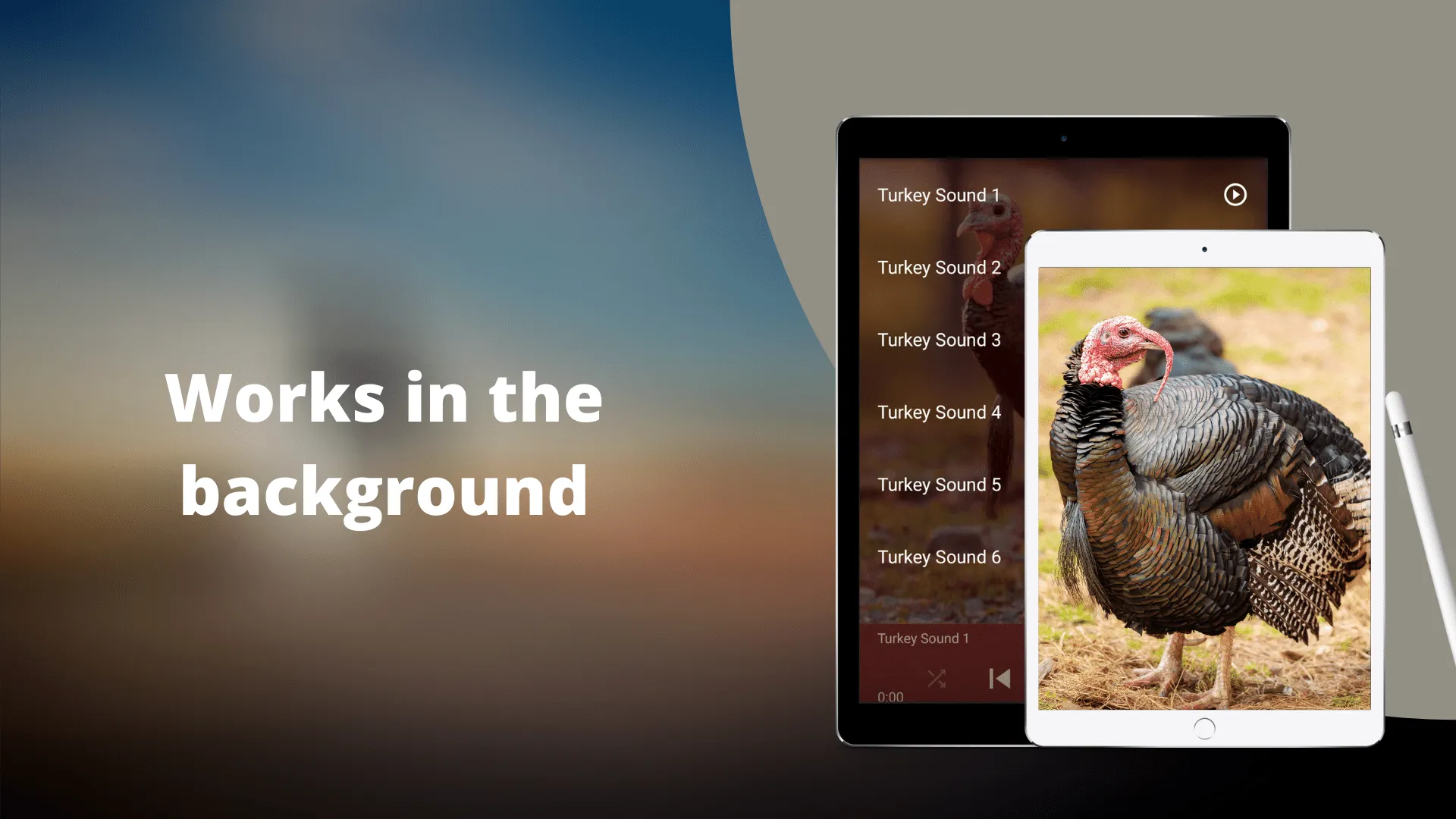 Turkey Sounds | Indus Appstore | Screenshot