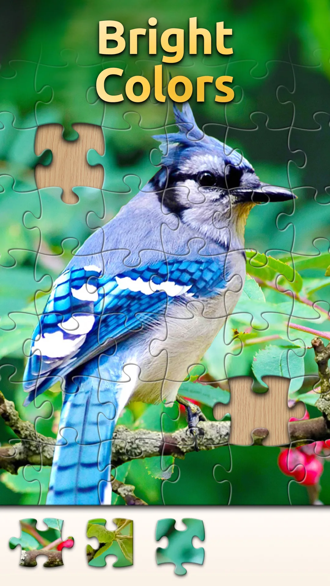 Vita Jigsaw for Seniors | Indus Appstore | Screenshot